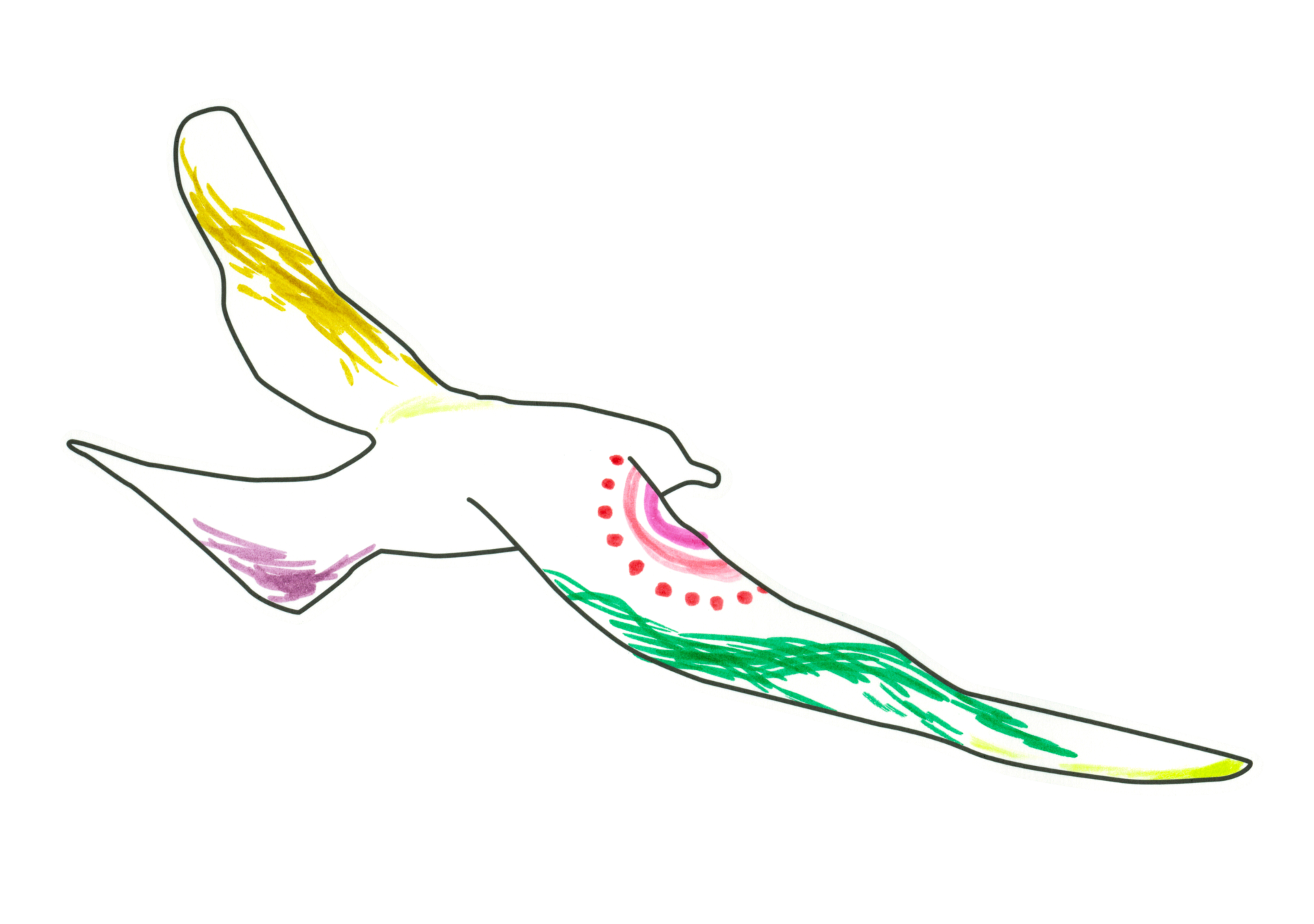 自由飛翔的天氣鳥