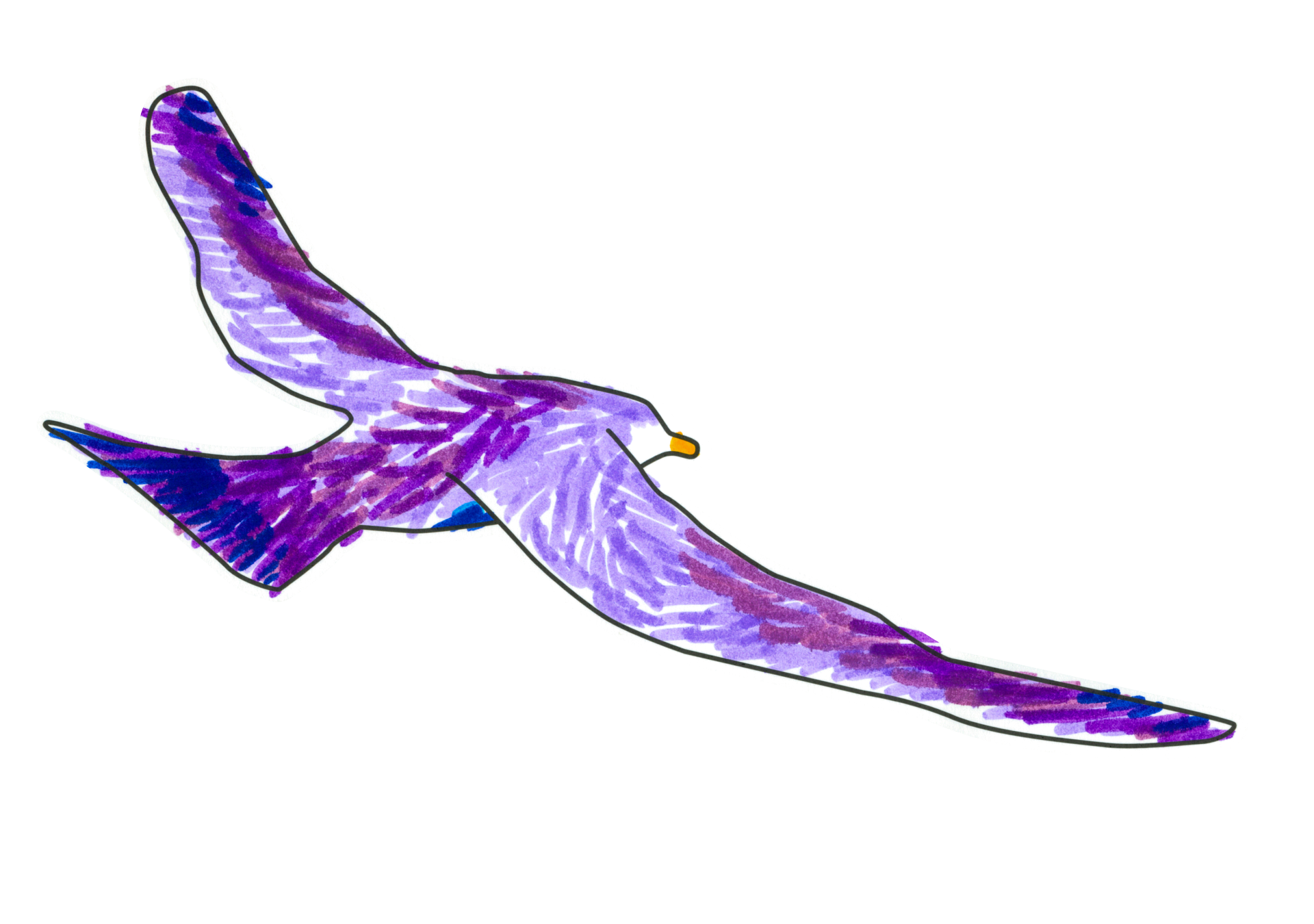 自由飛翔的天氣鳥