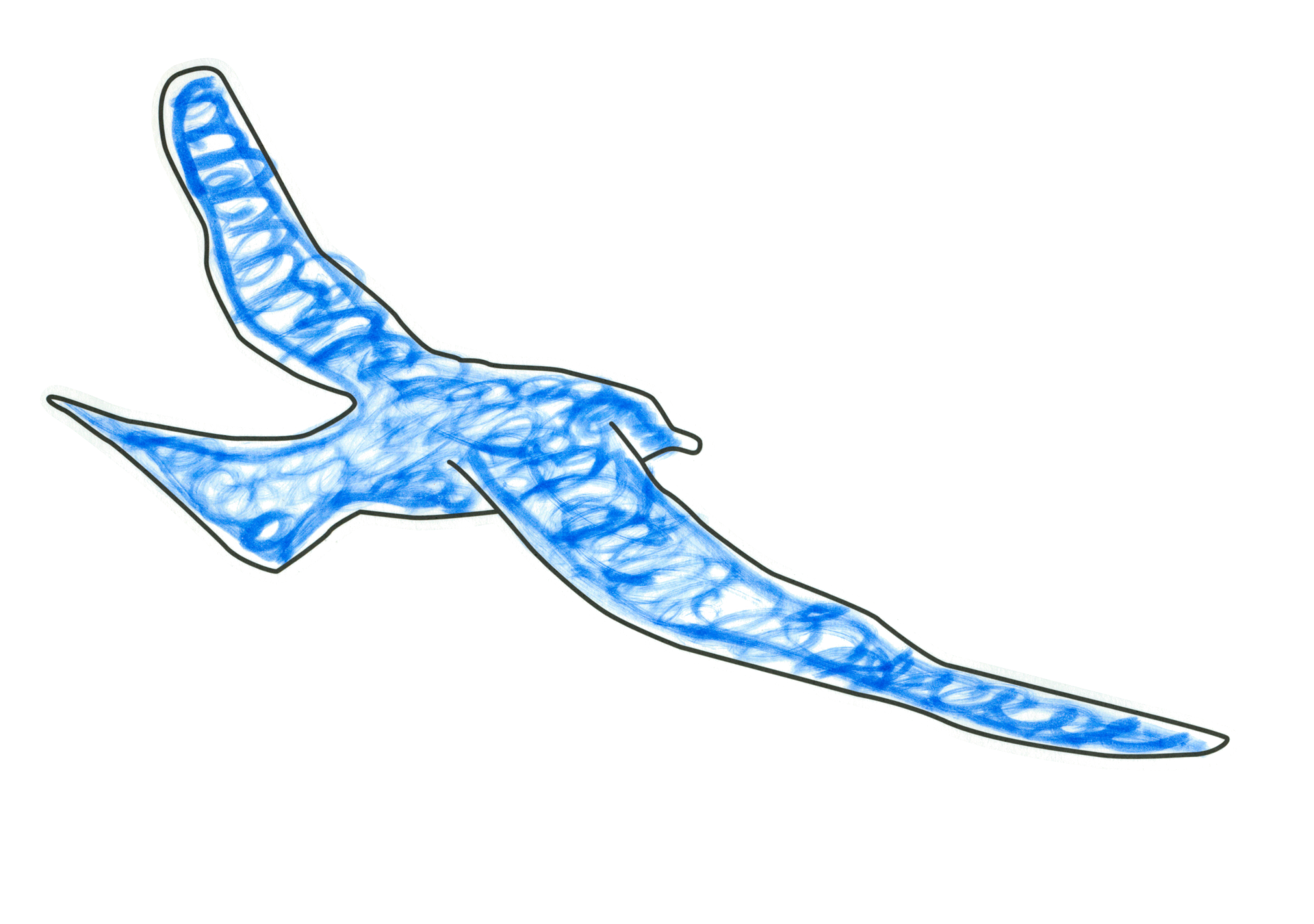 16505 blue bird