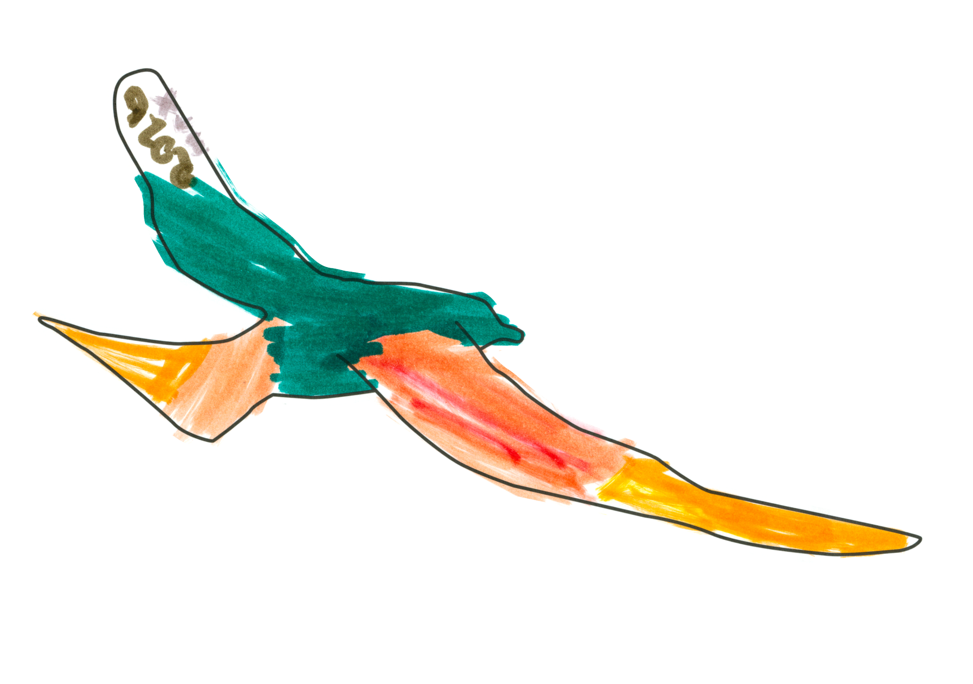 自由飛翔的天氣鳥