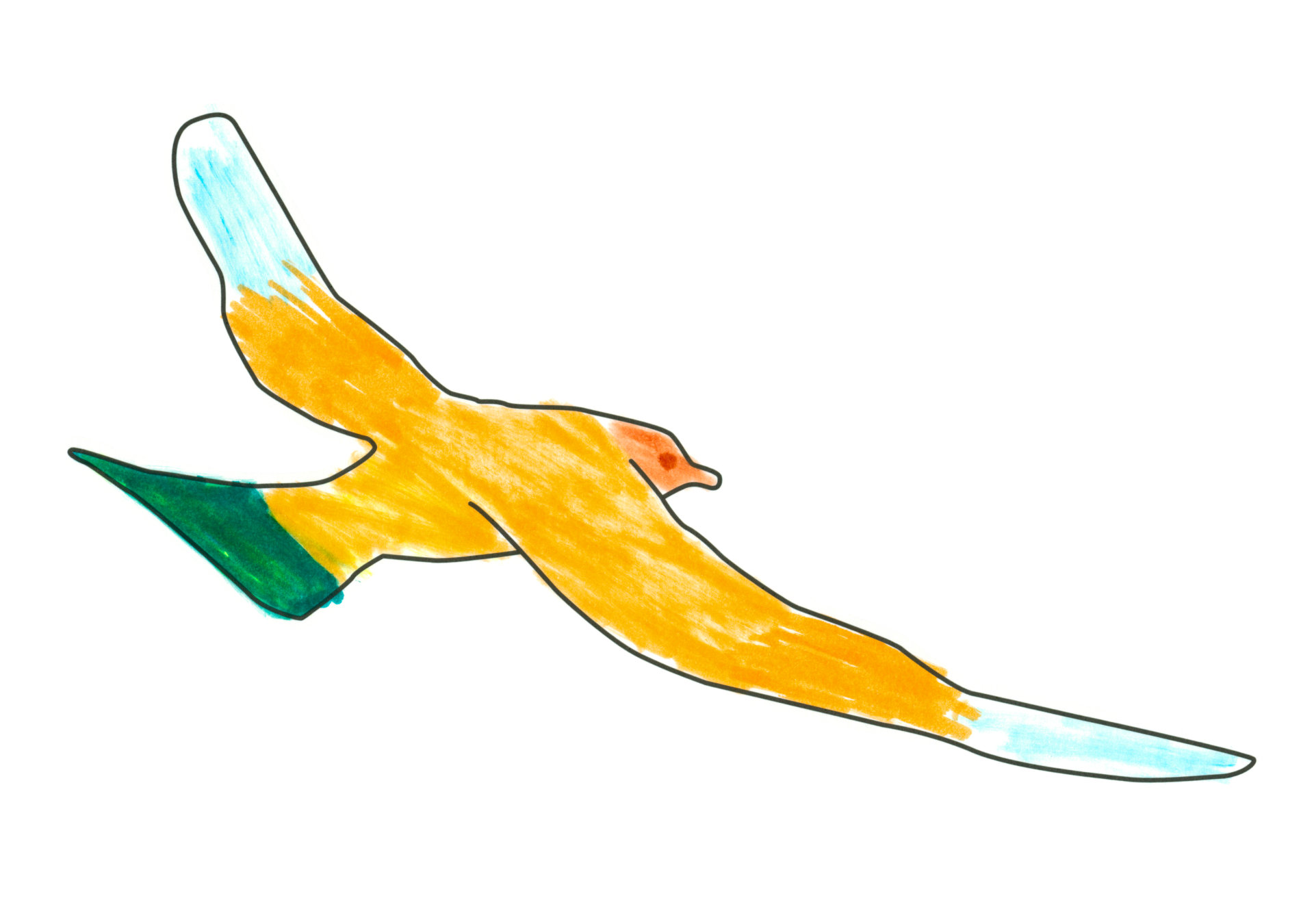 自由飛翔的天氣鳥