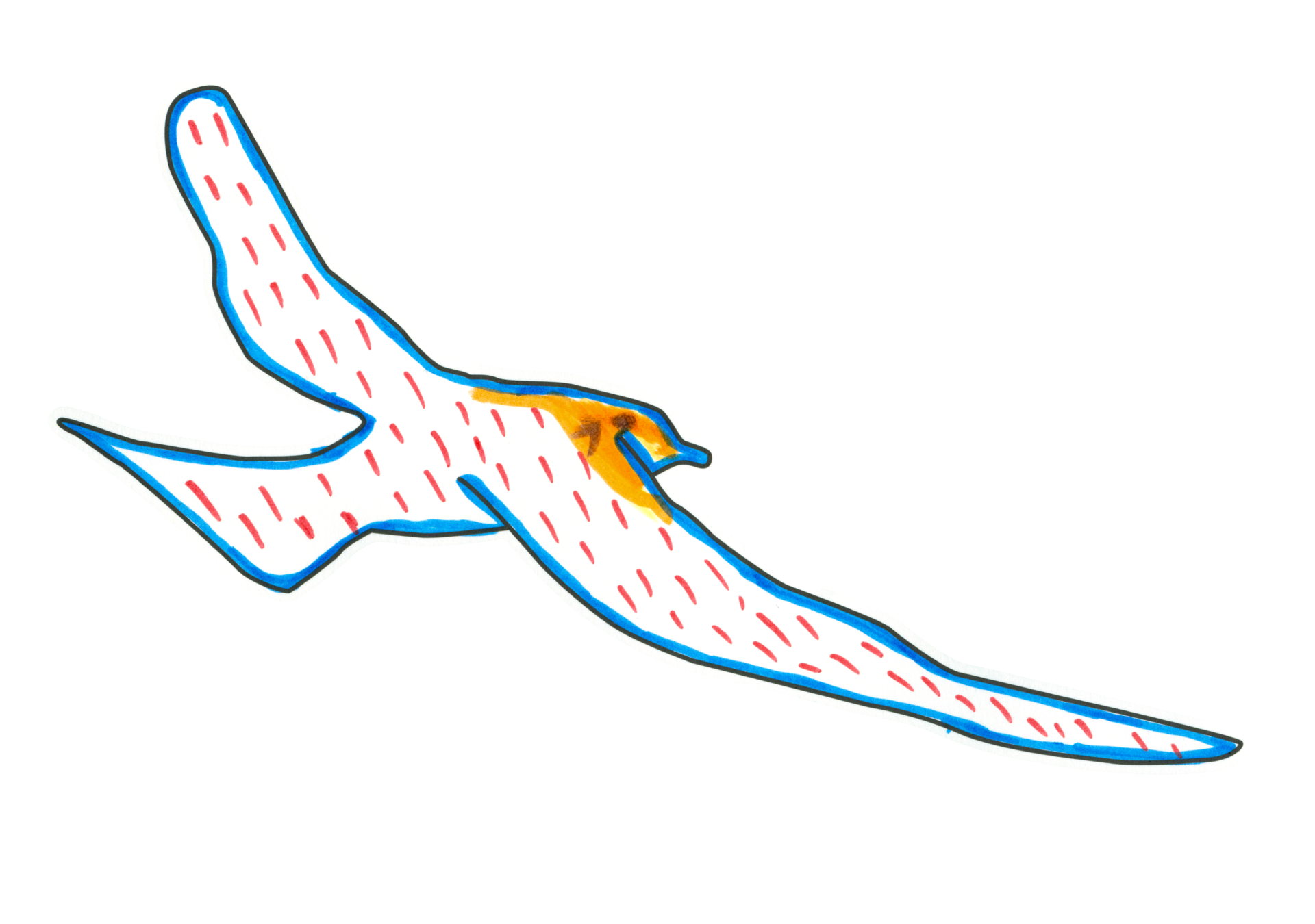 自由飛翔的天氣鳥