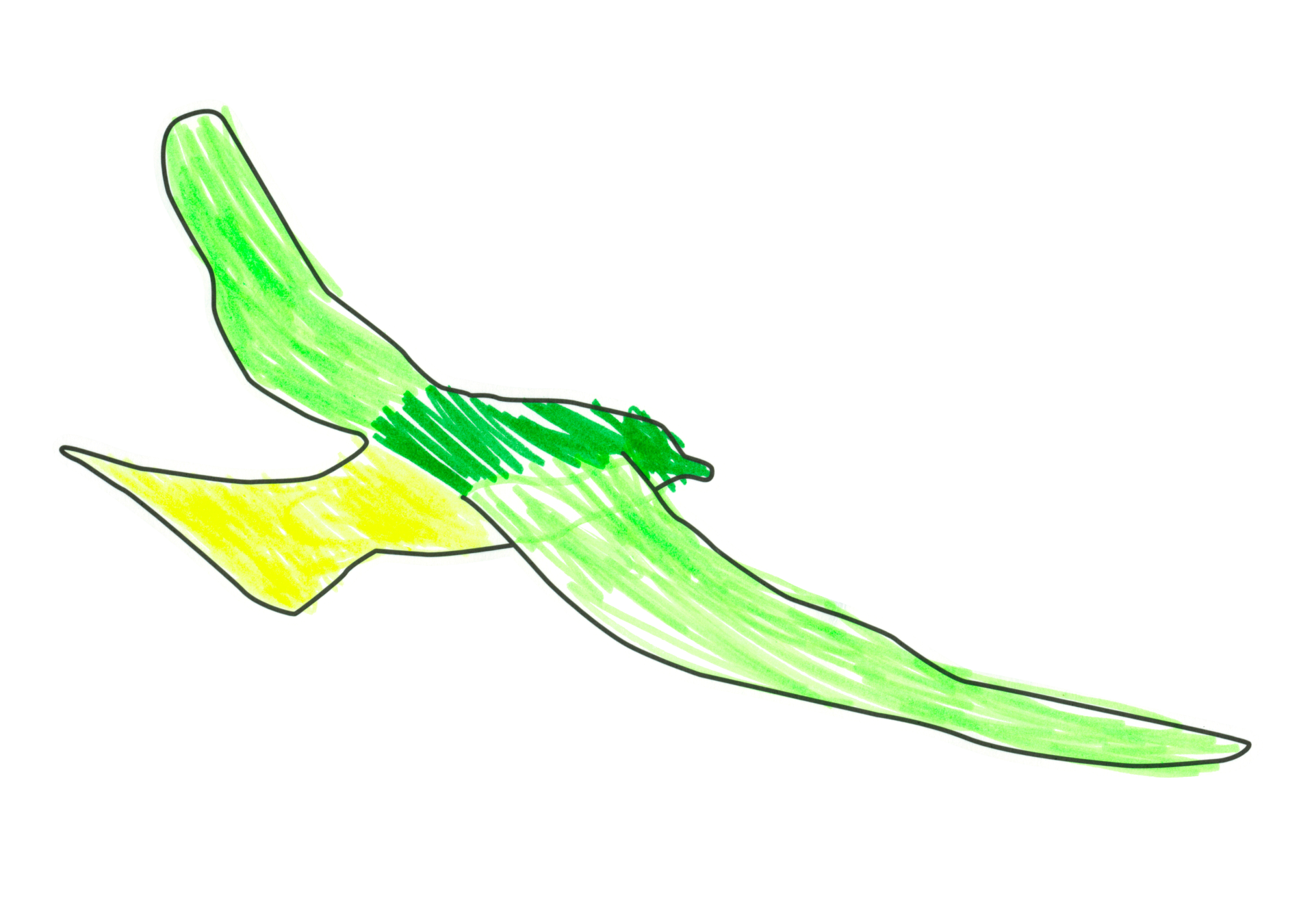 自由飛翔的天氣鳥