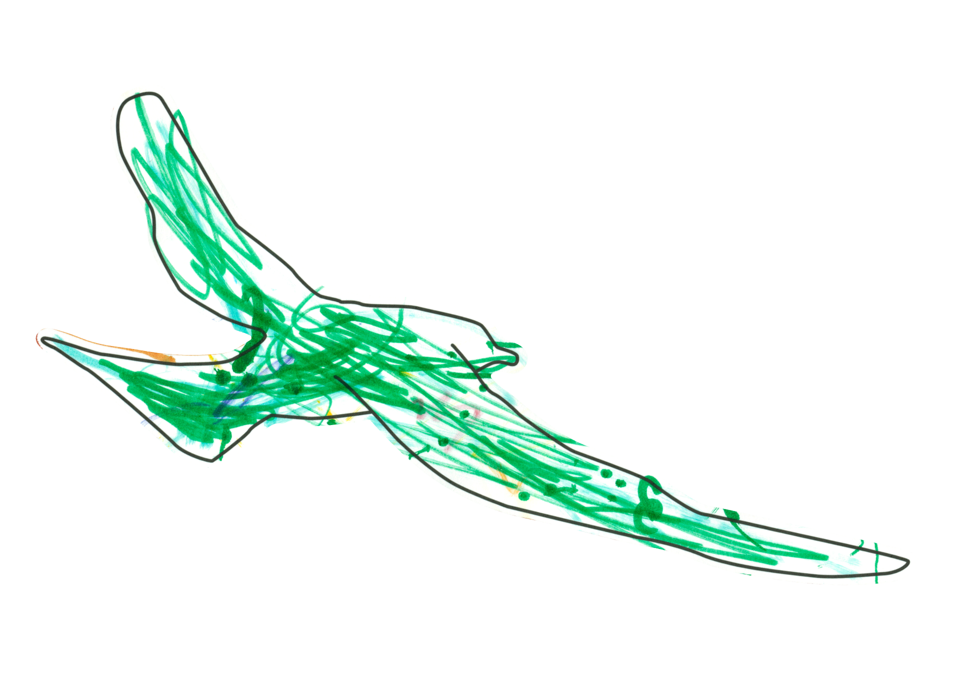 自由飛翔的天氣鳥