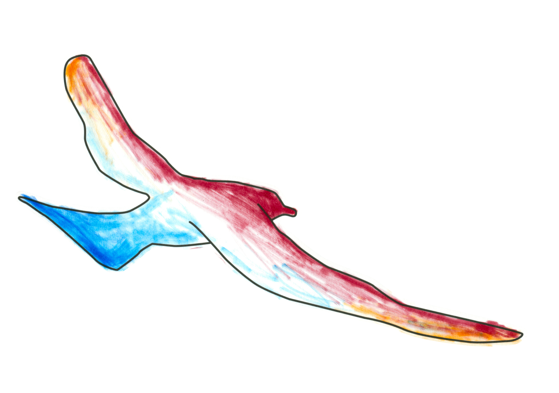 16787 熱臉冷屁股鳥