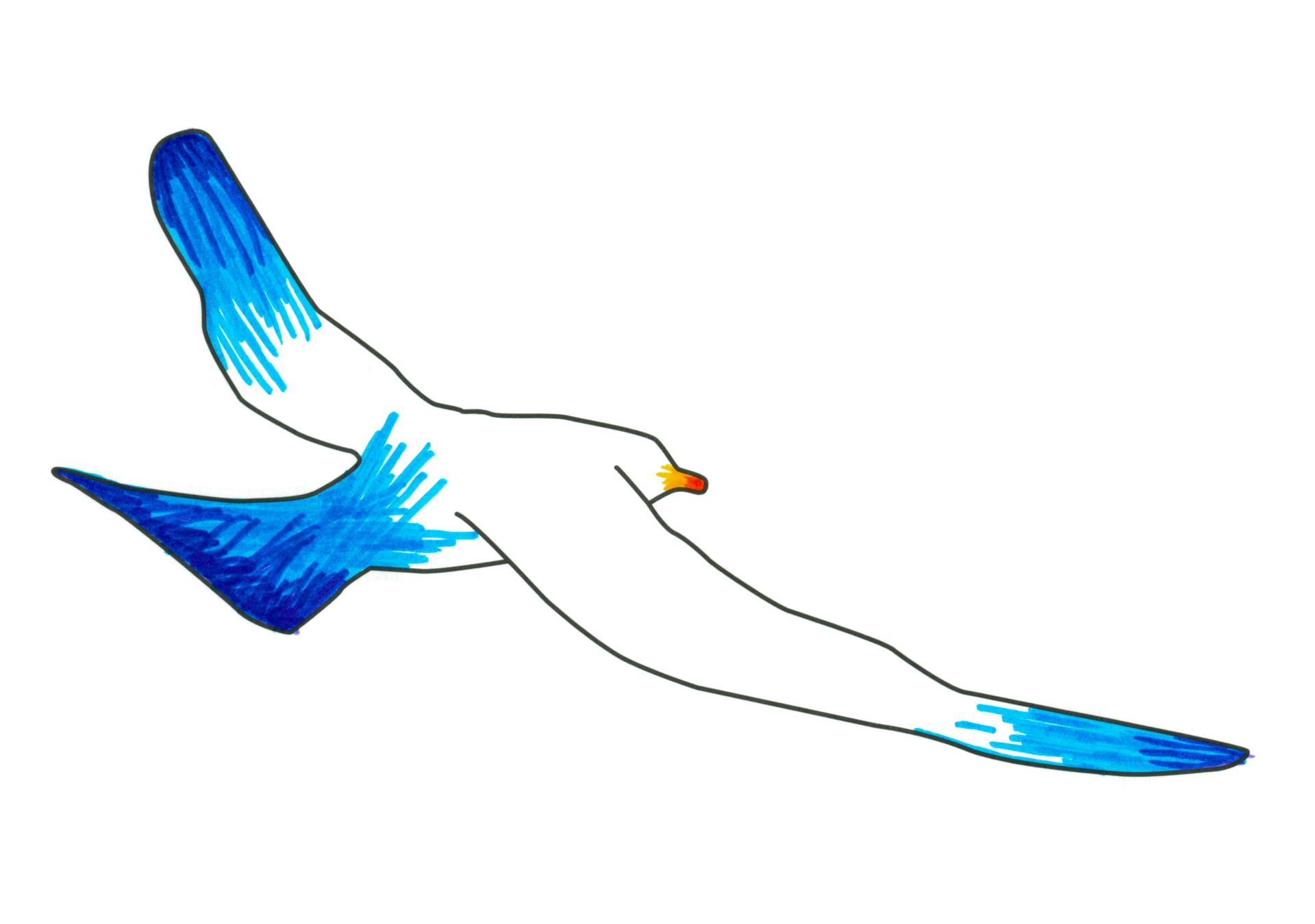 自由飛翔的天氣鳥