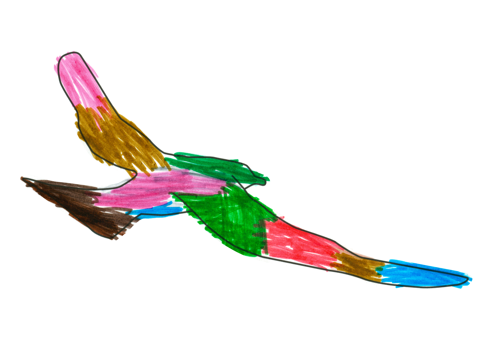自由飛翔的天氣鳥