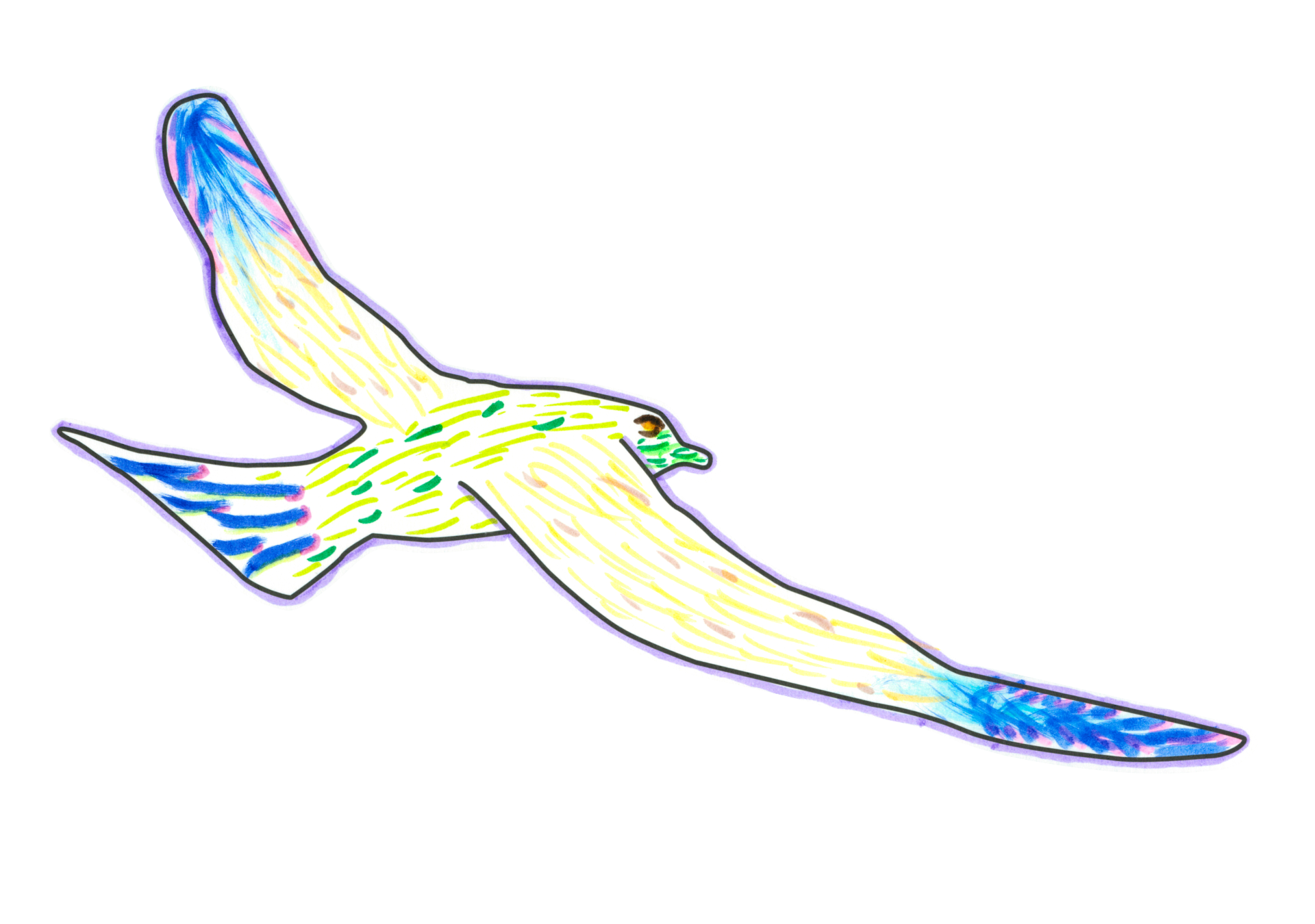 17026 憤世嫉俗の鳥