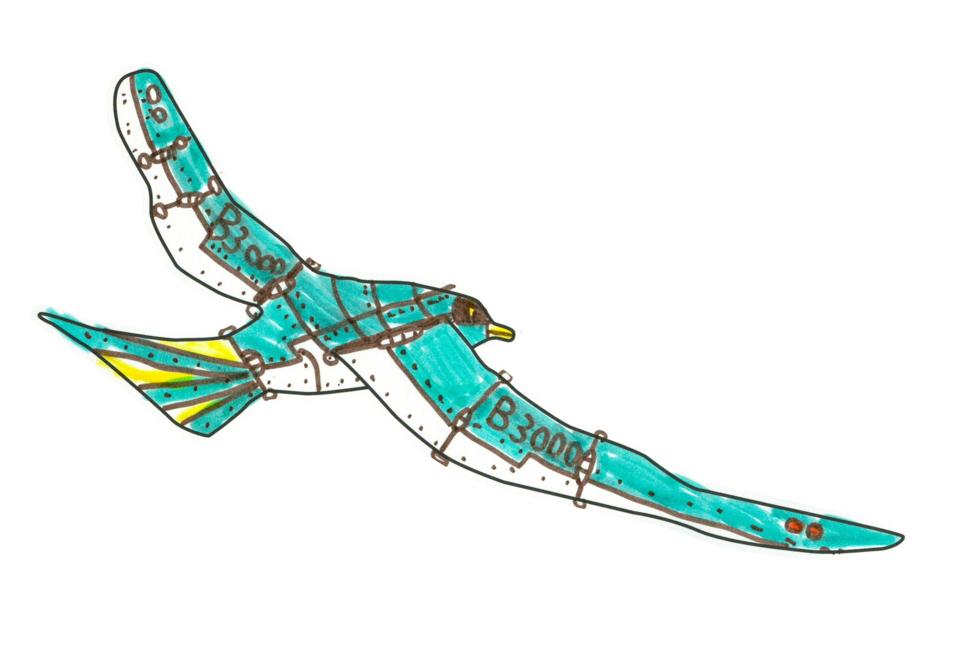 自由飛翔的天氣鳥