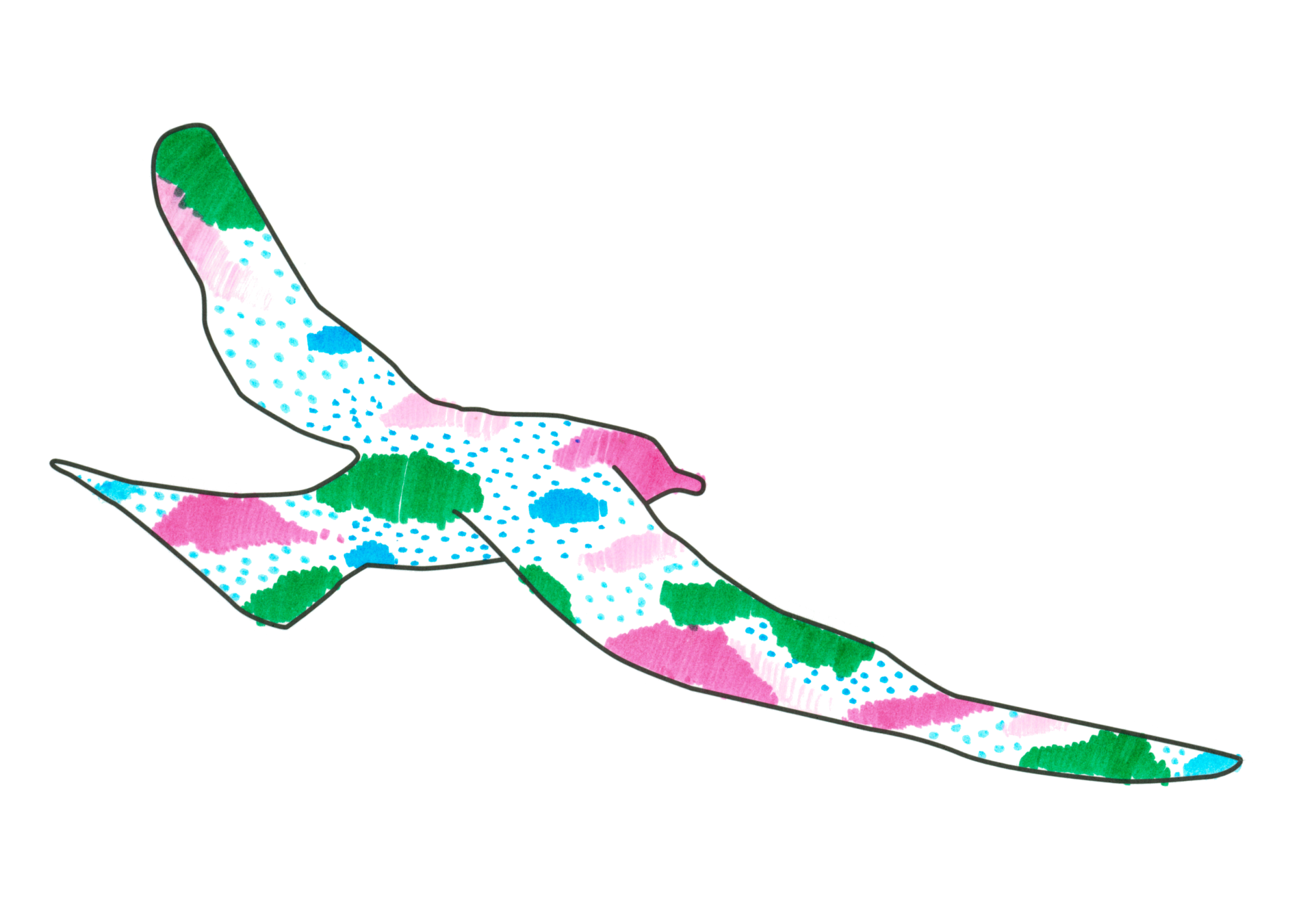 自由飛翔的天氣鳥