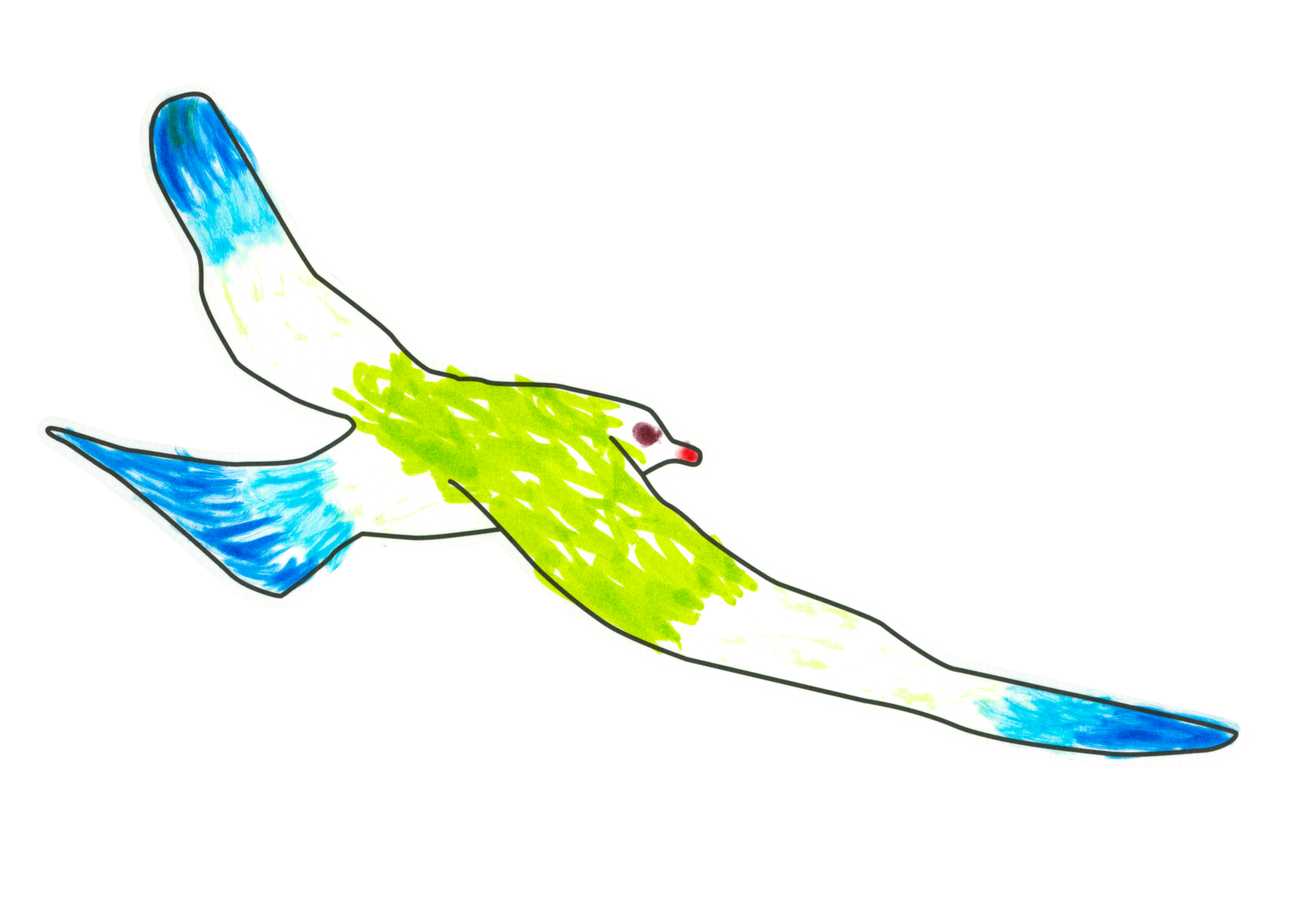 自由飛翔的天氣鳥
