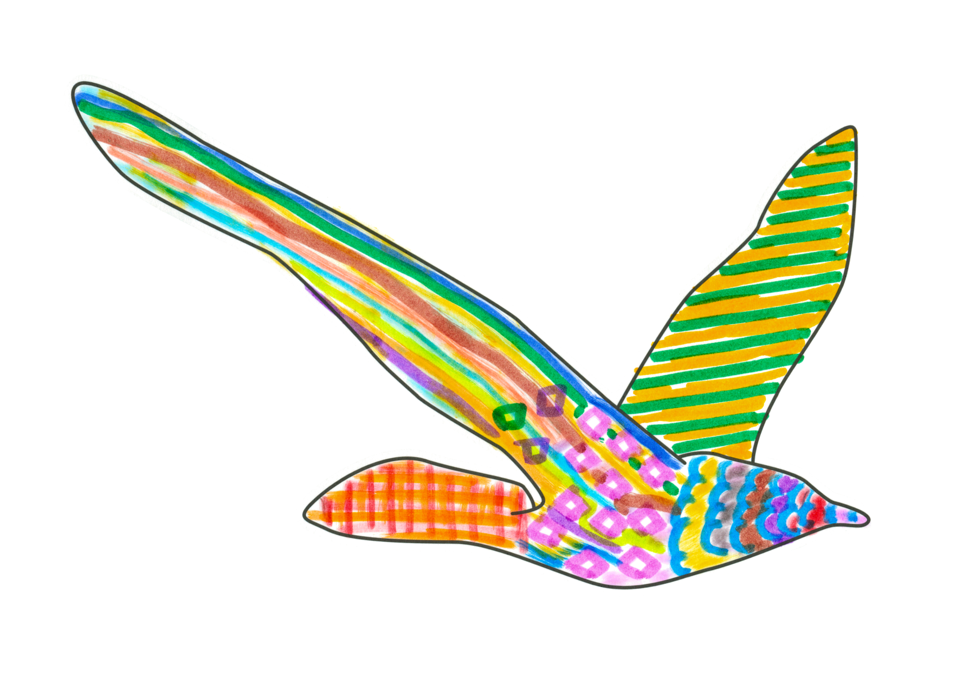 自由飛翔的天氣鳥