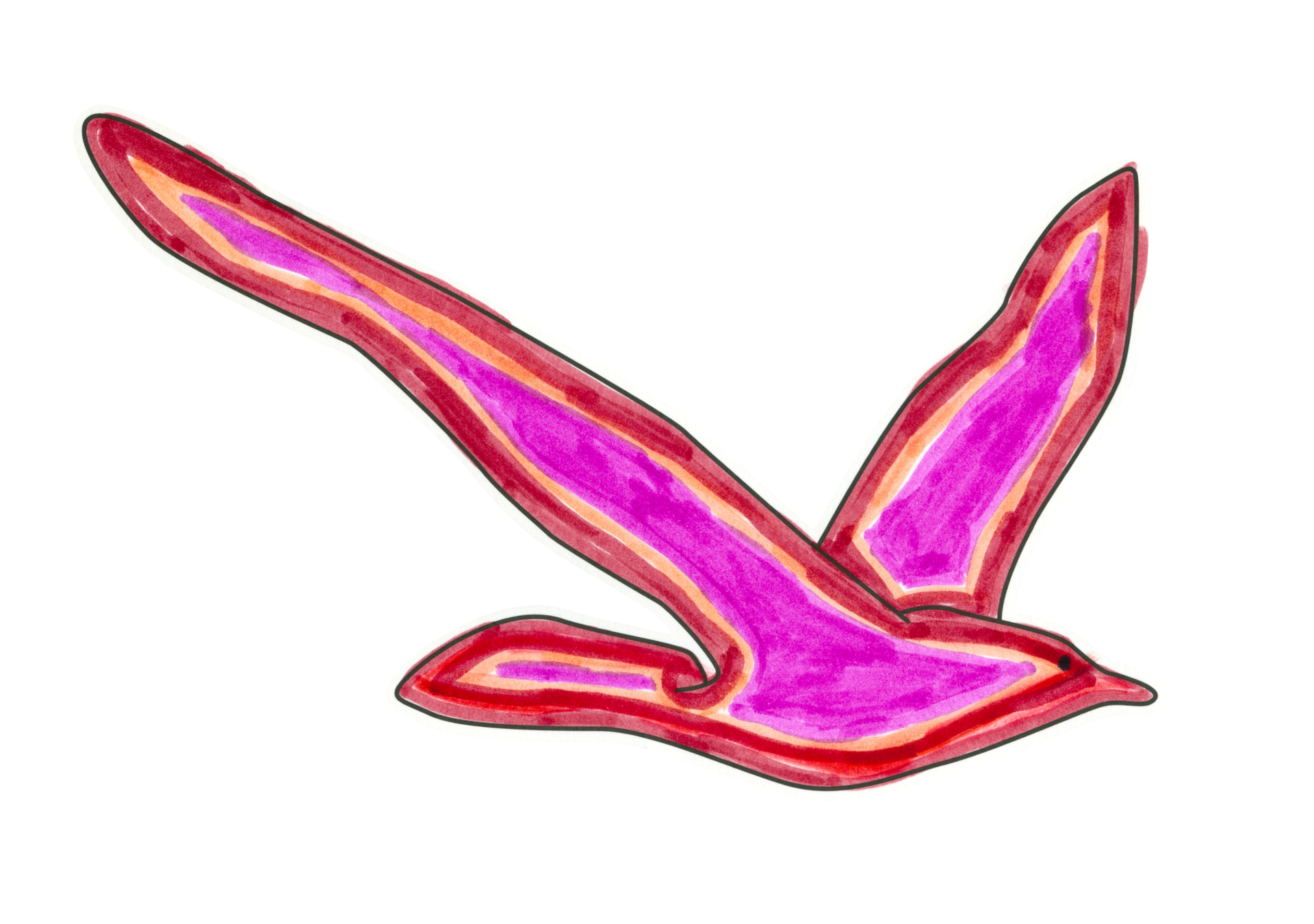 10809 A beautiful bird
