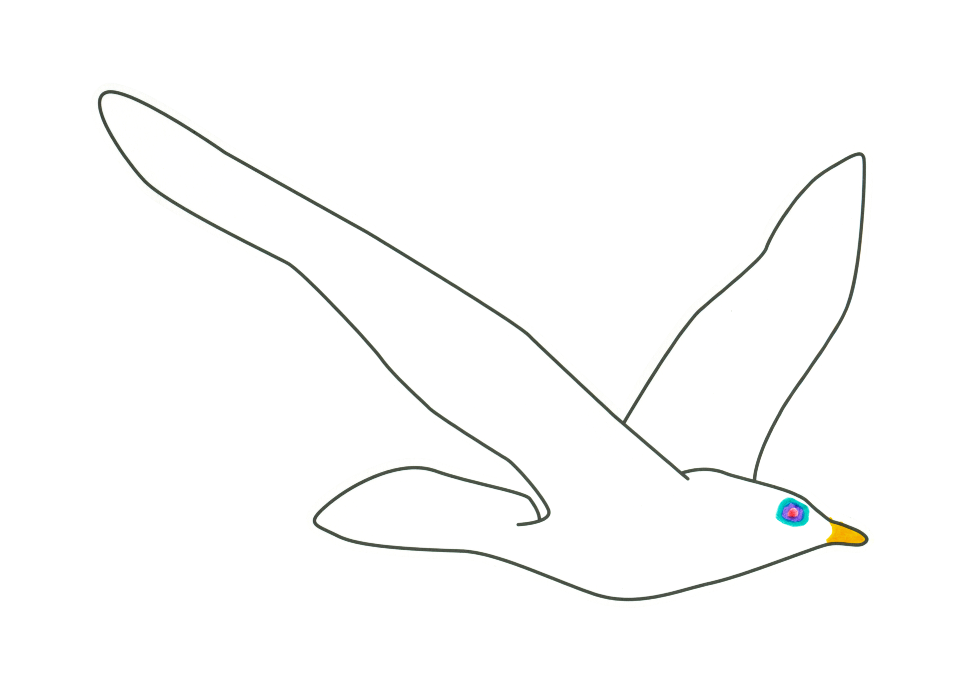 自由飛翔的天氣鳥