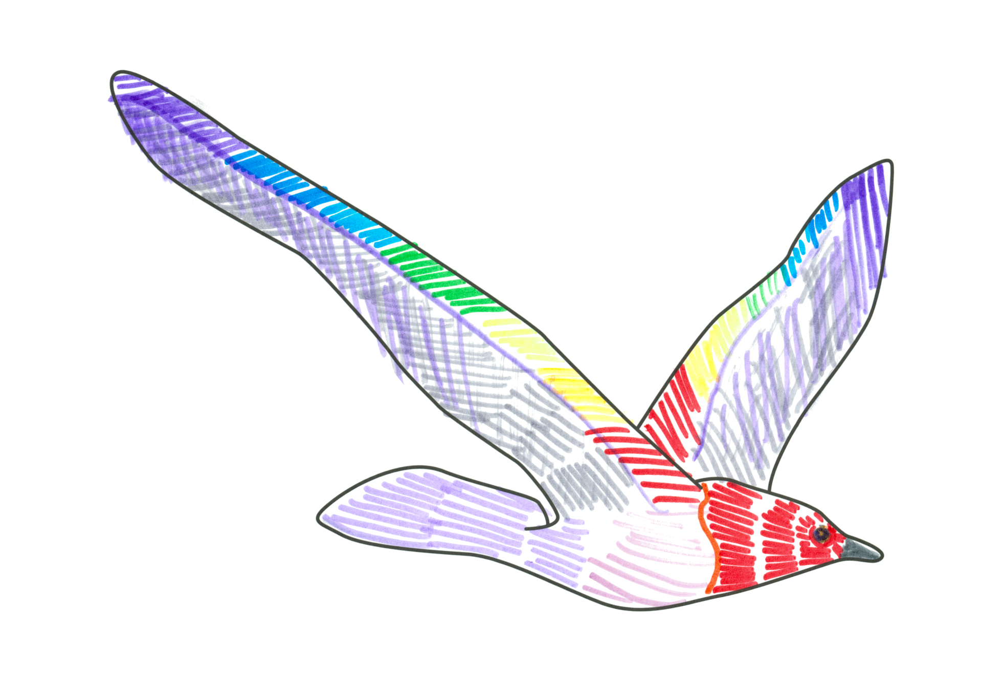 自由飛翔的天氣鳥