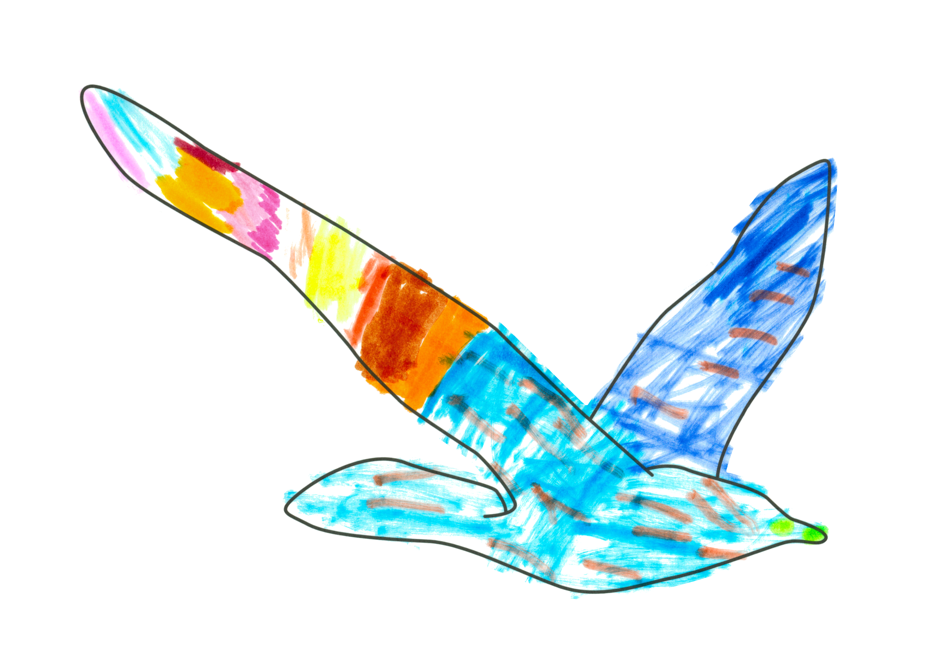 自由飛翔的天氣鳥