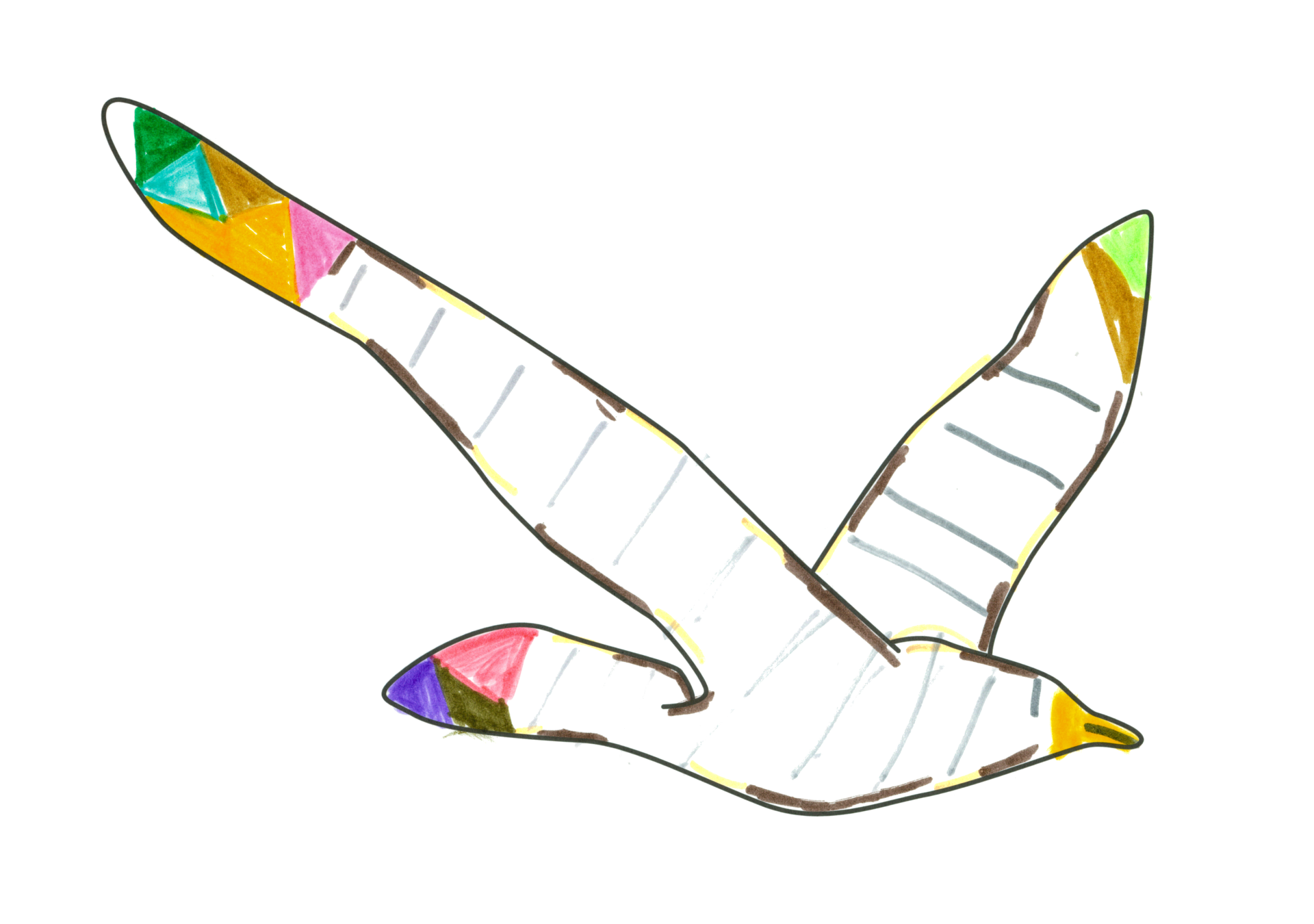 自由飛翔的天氣鳥