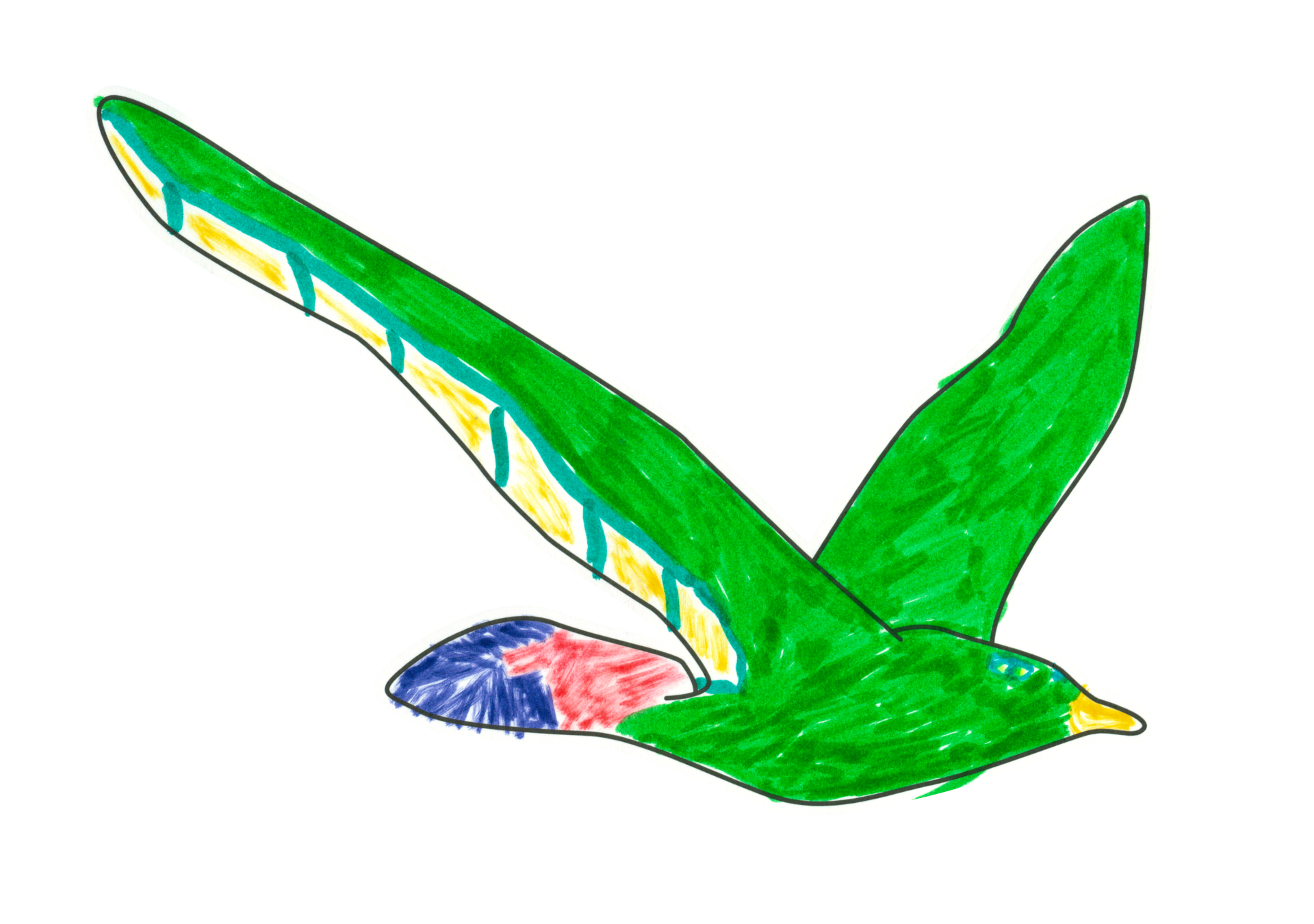 自由飛翔的天氣鳥