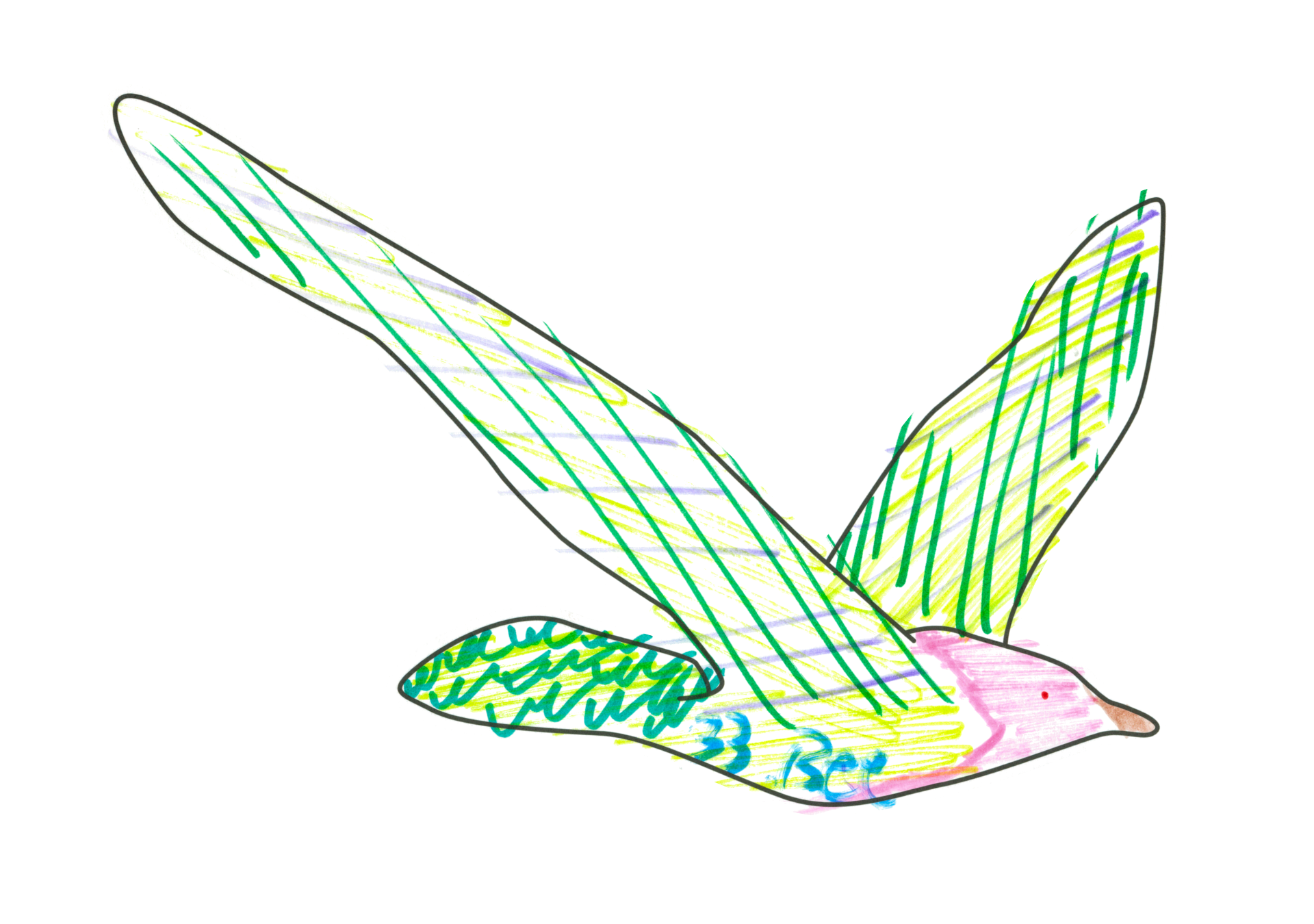 自由飛翔的天氣鳥