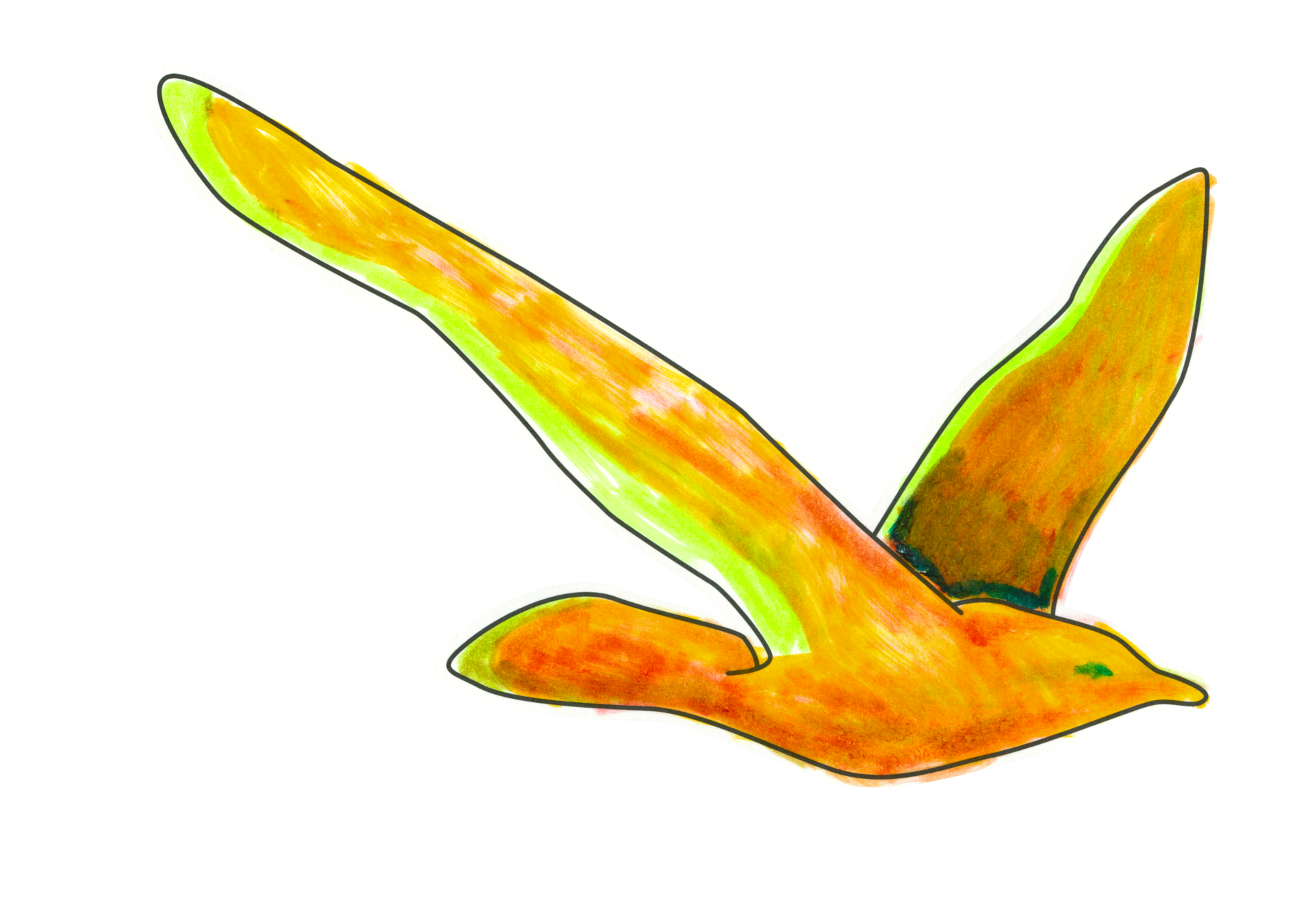 自由飛翔的天氣鳥