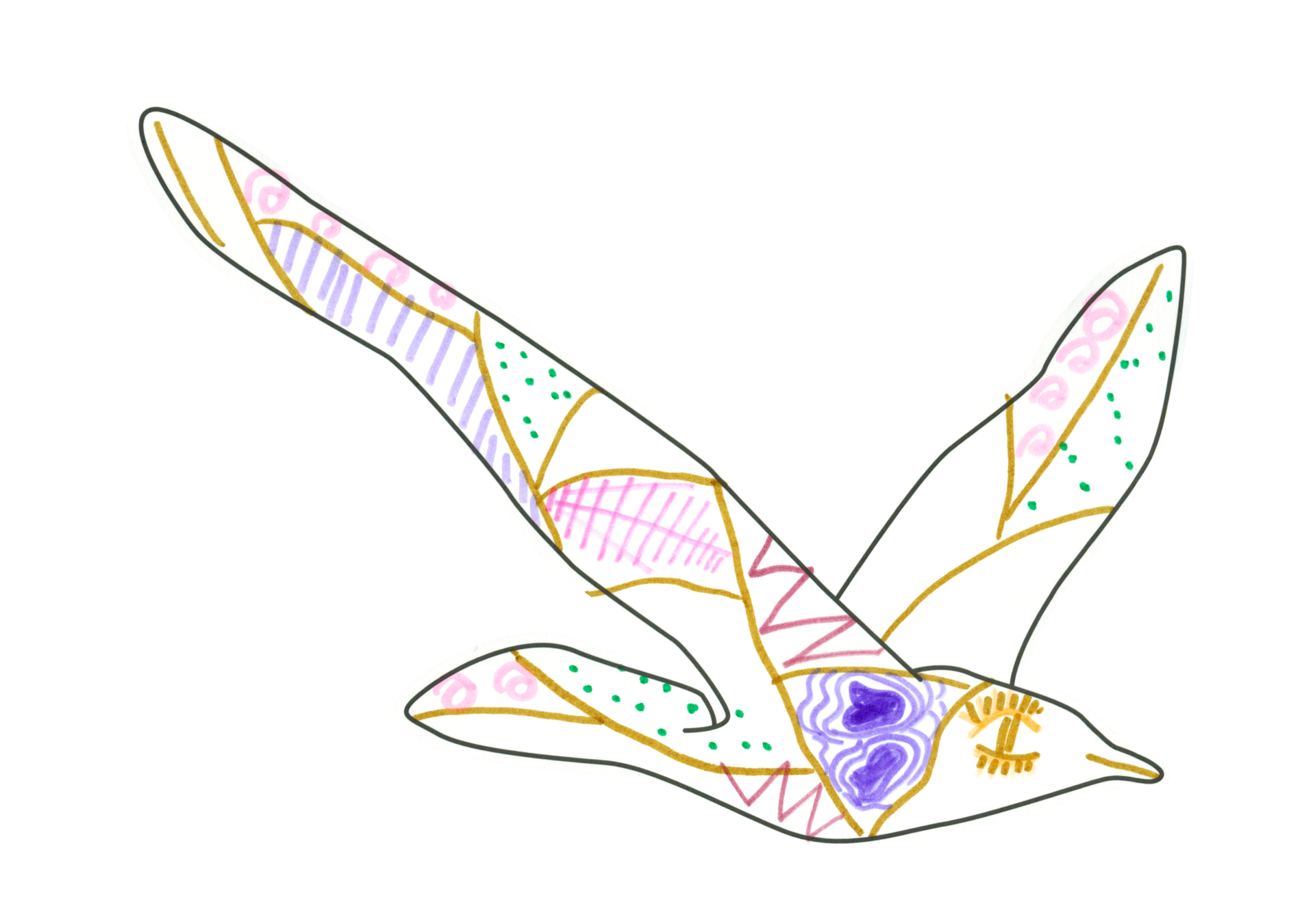 自由飛翔的天氣鳥