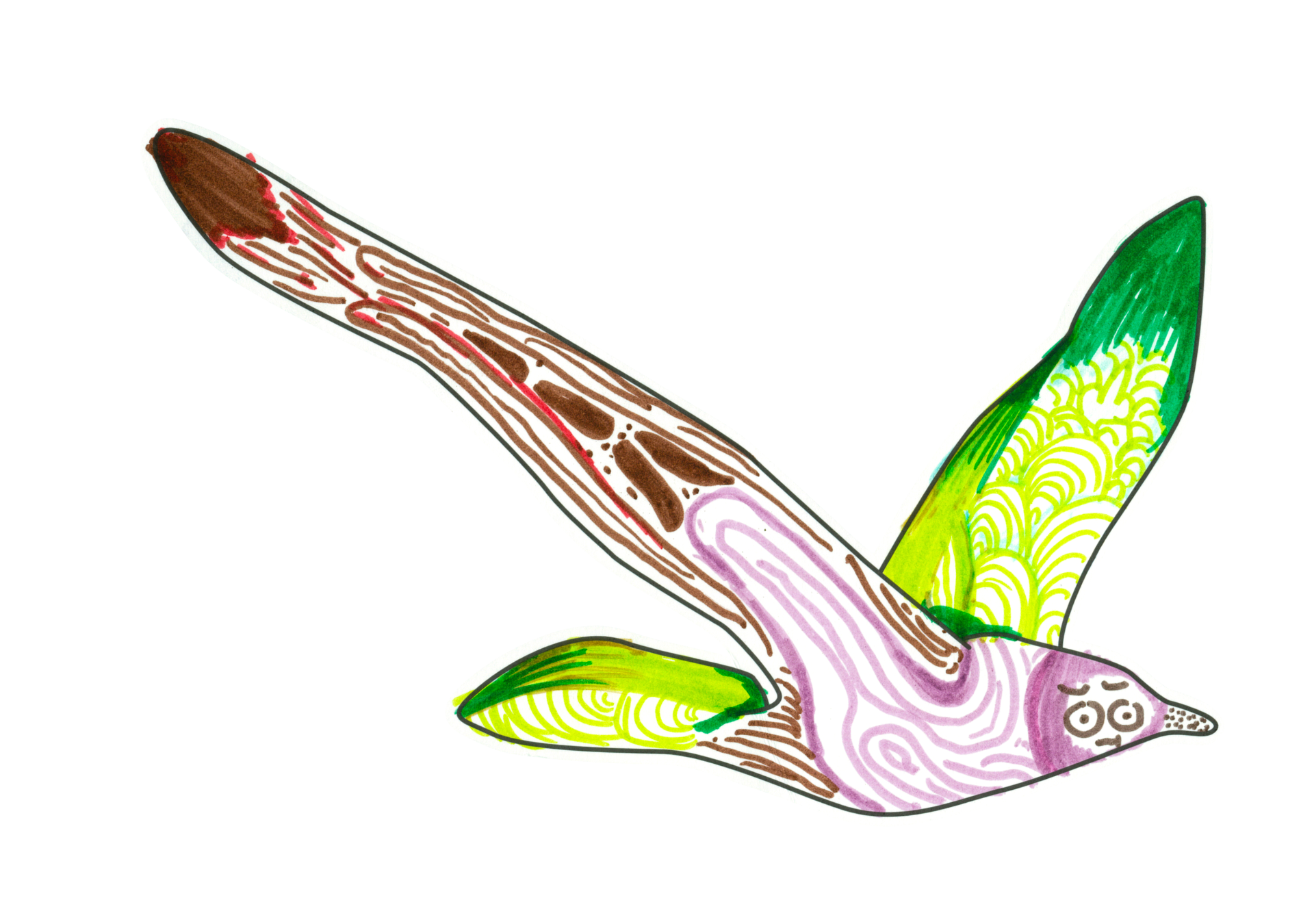 自由飛翔的天氣鳥