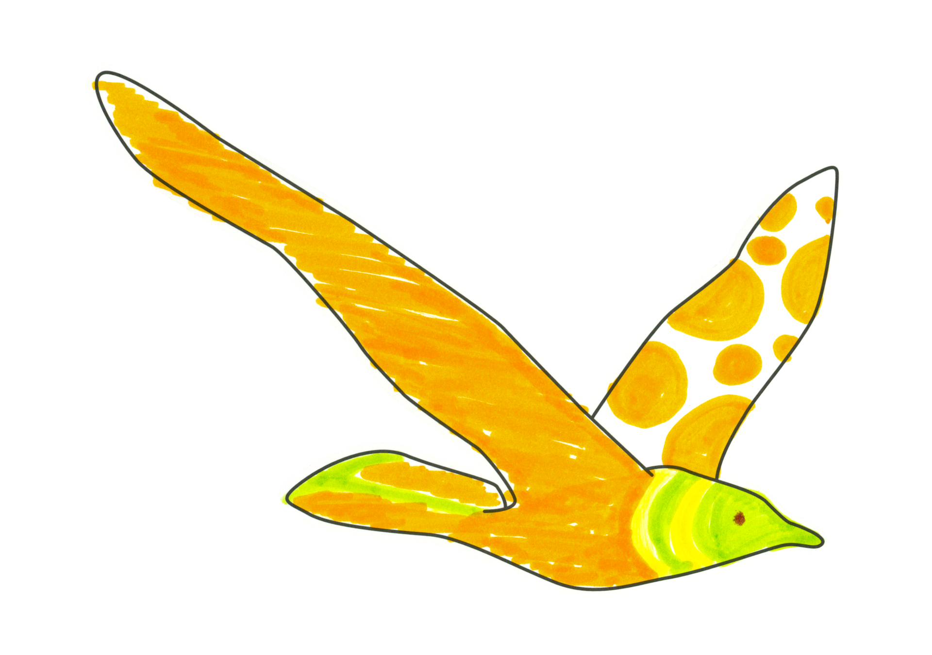 自由飛翔的天氣鳥