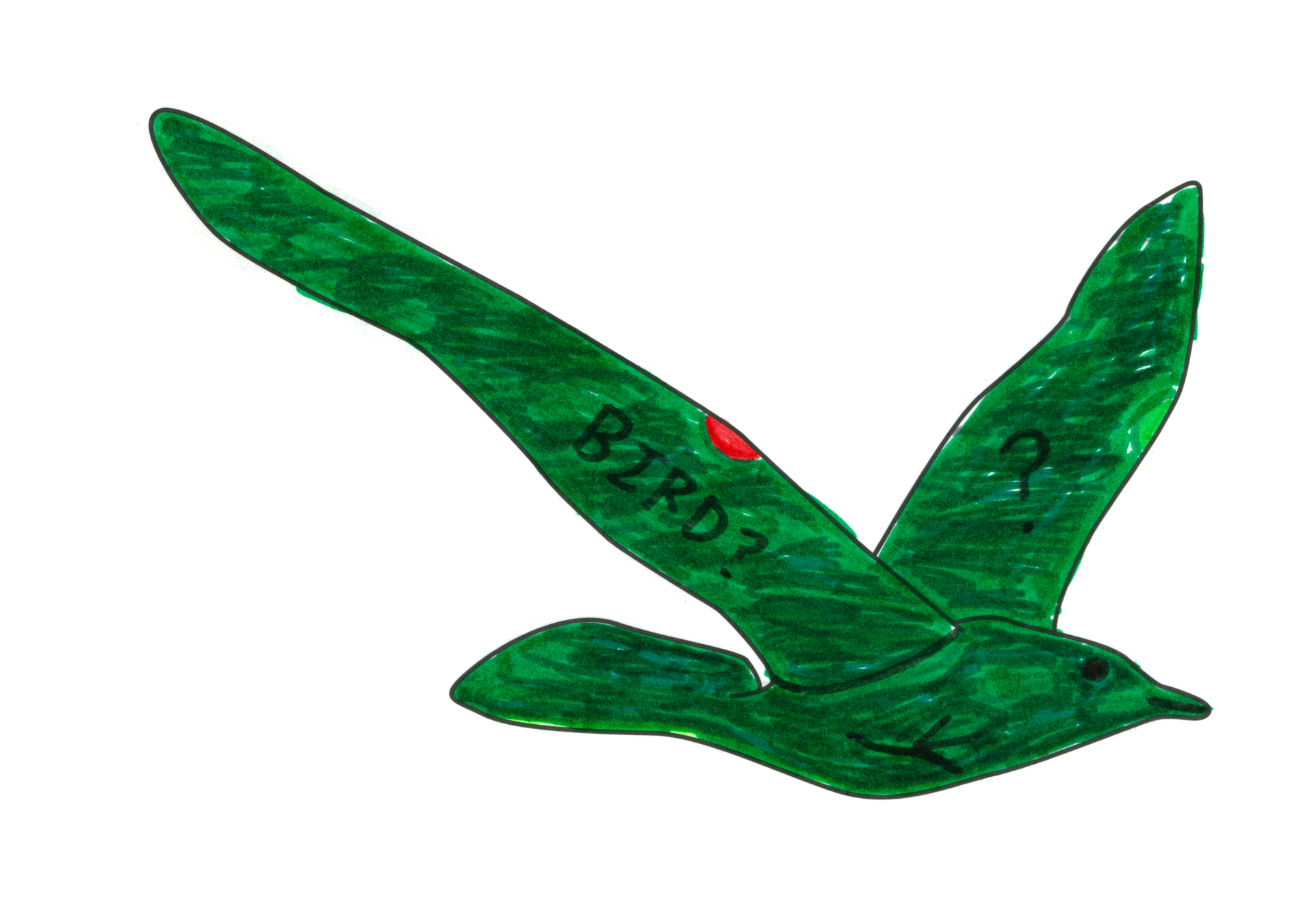 自由飛翔的天氣鳥