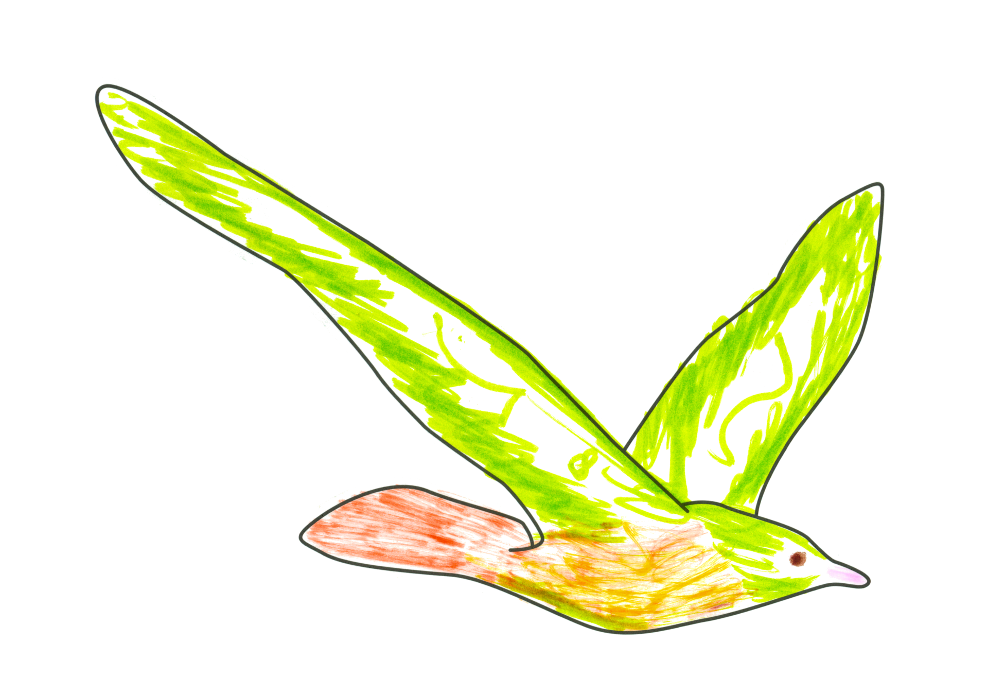 自由飛翔的天氣鳥
