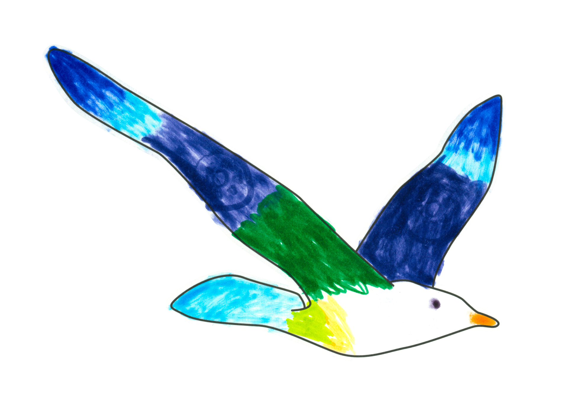 自由飛翔的天氣鳥