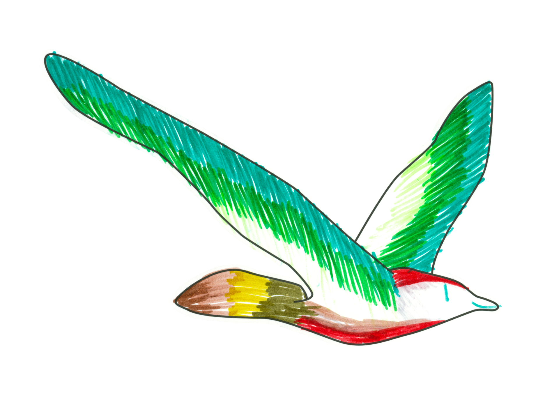 自由飛翔的天氣鳥