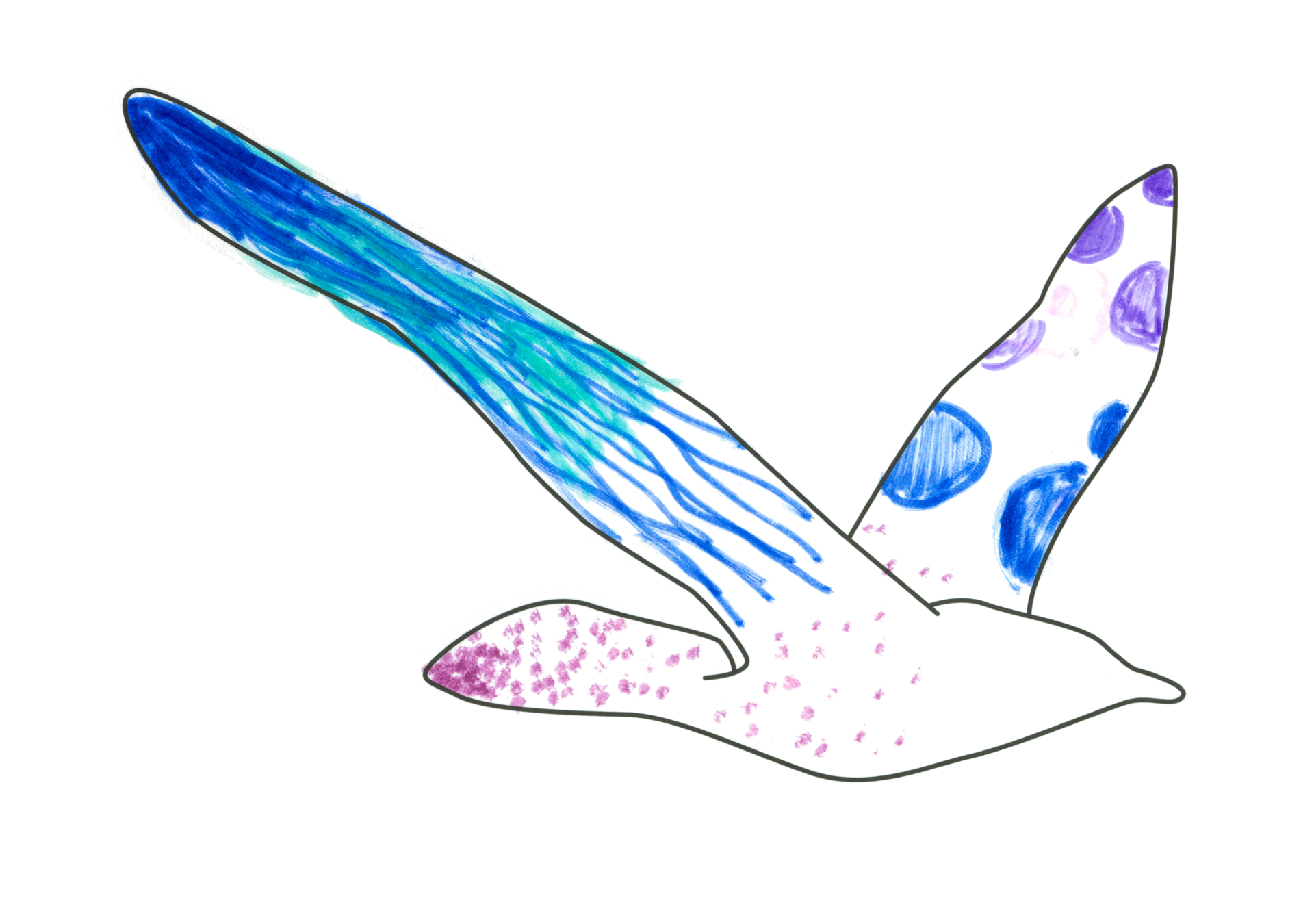 自由飛翔的天氣鳥