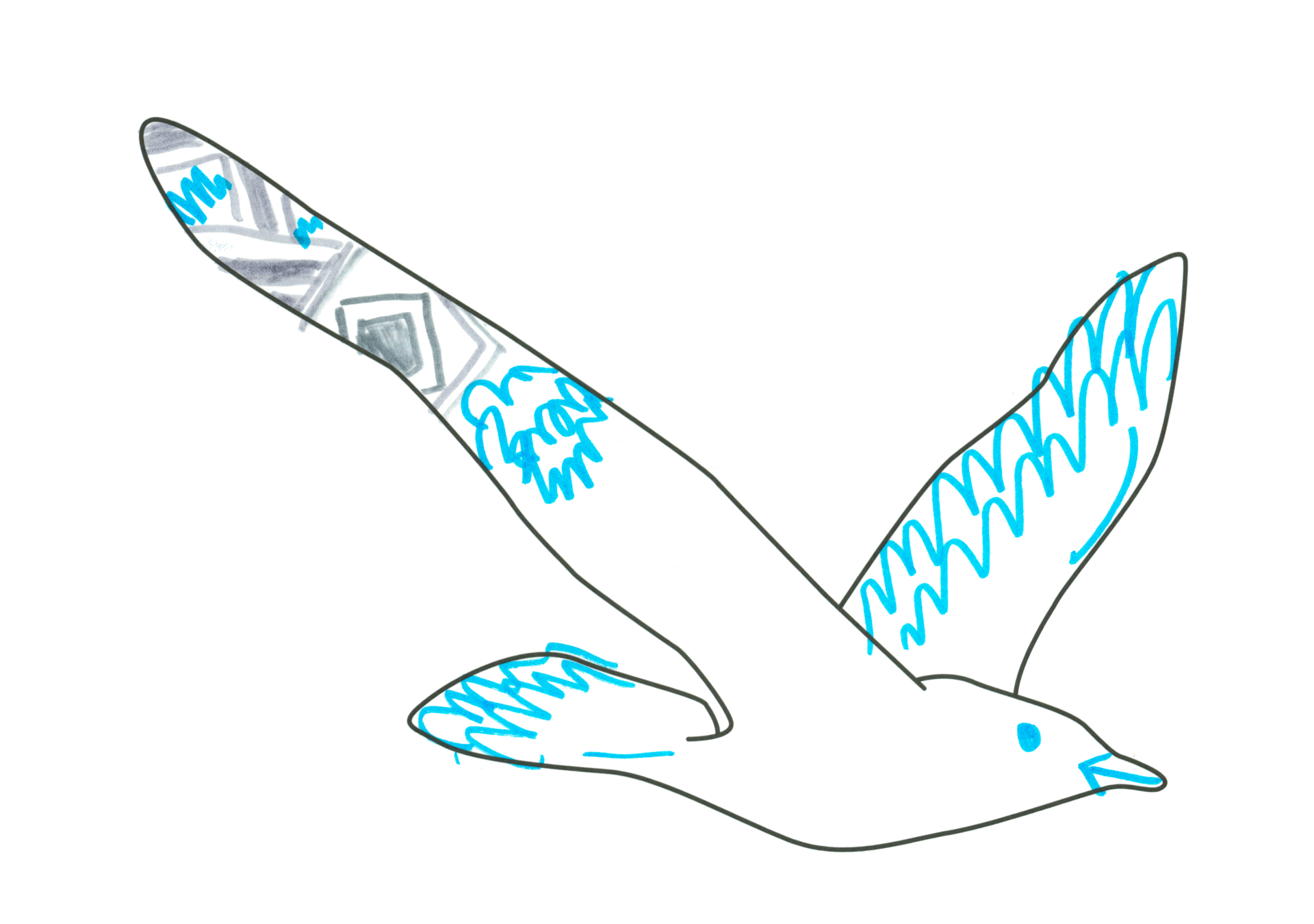 自由飛翔的天氣鳥