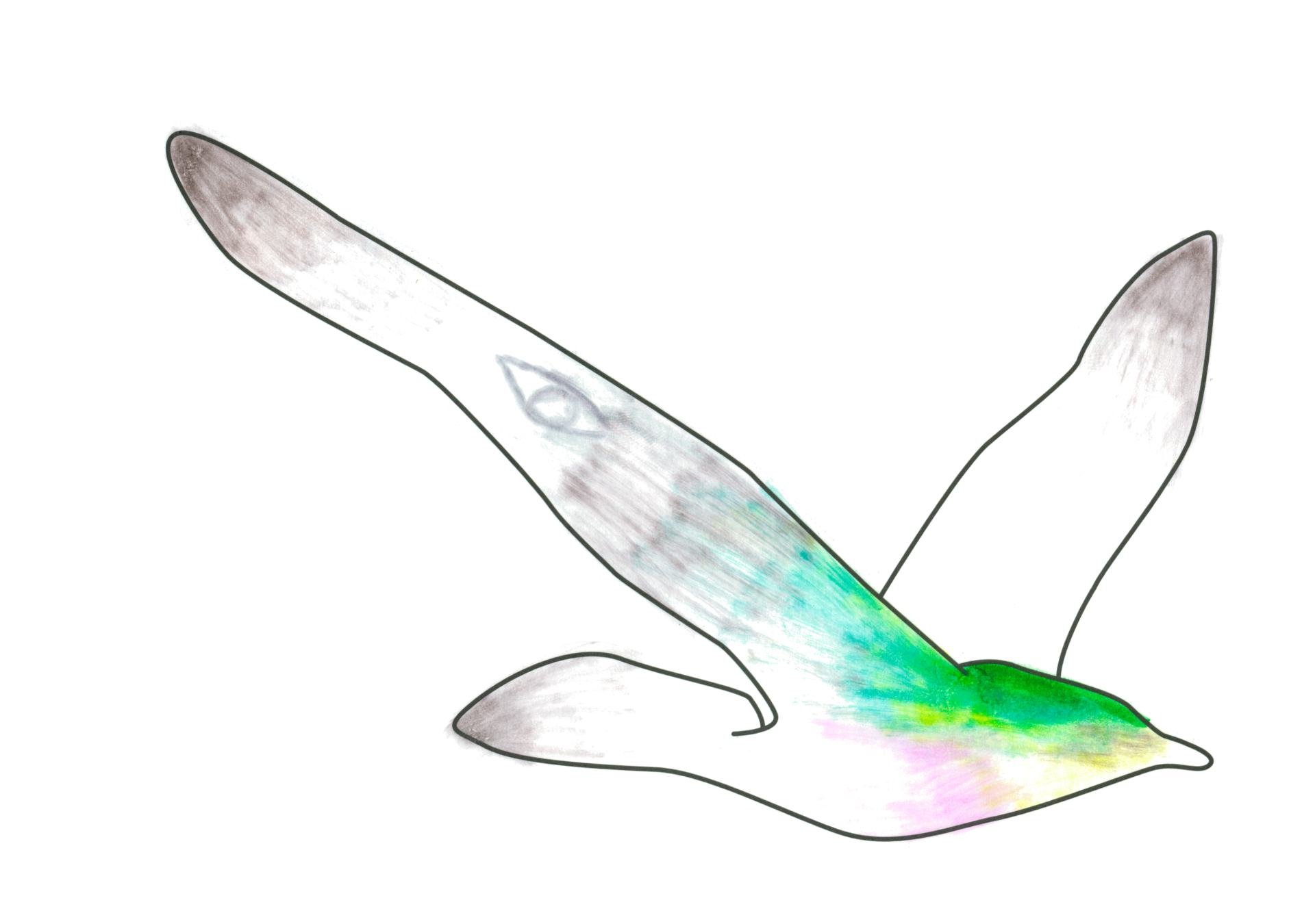 自由飛翔的天氣鳥