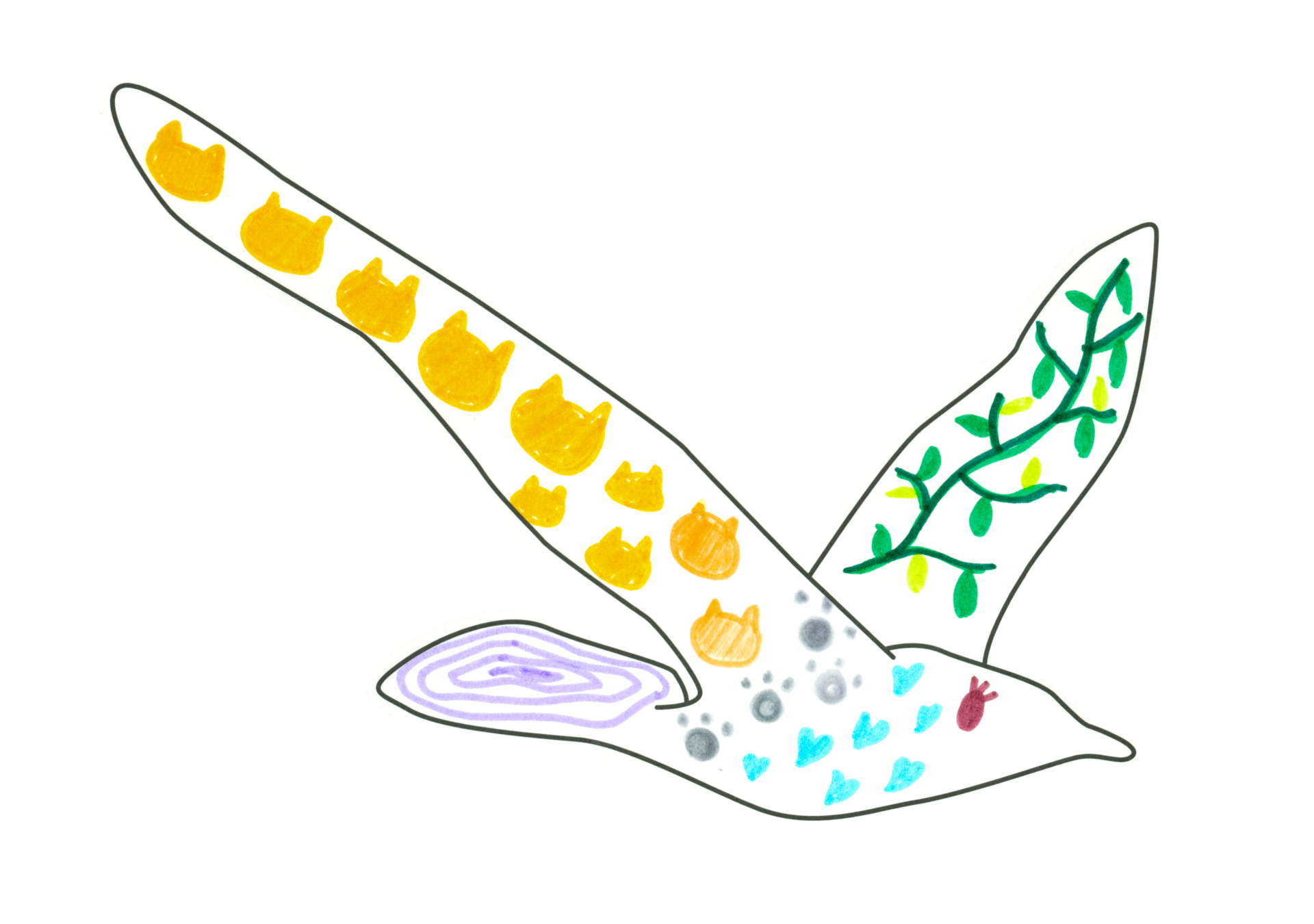 10951 生物Bird