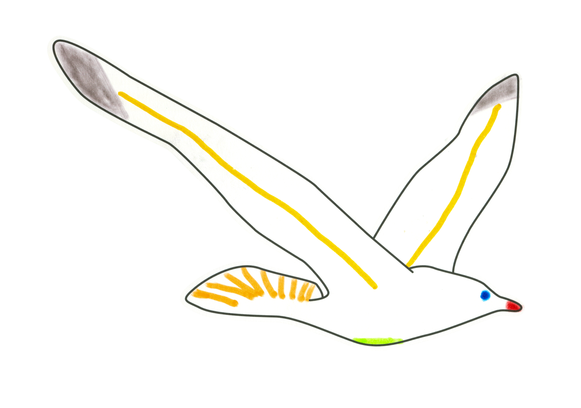 自由飛翔的天氣鳥
