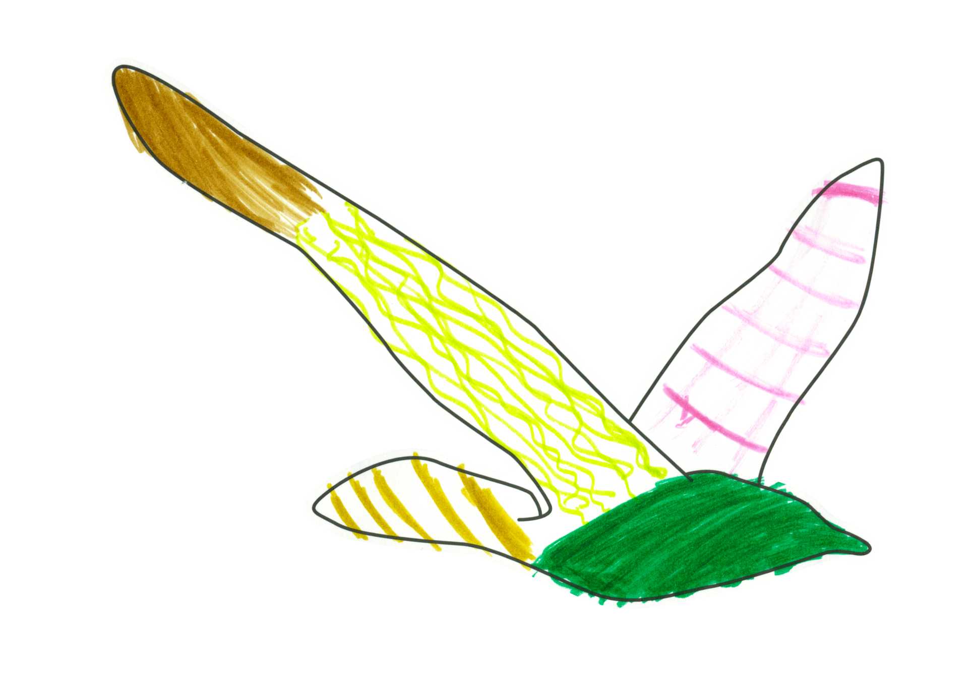 自由飛翔的天氣鳥