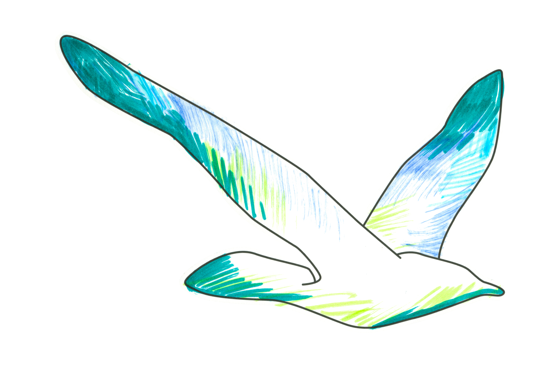 自由飛翔的天氣鳥