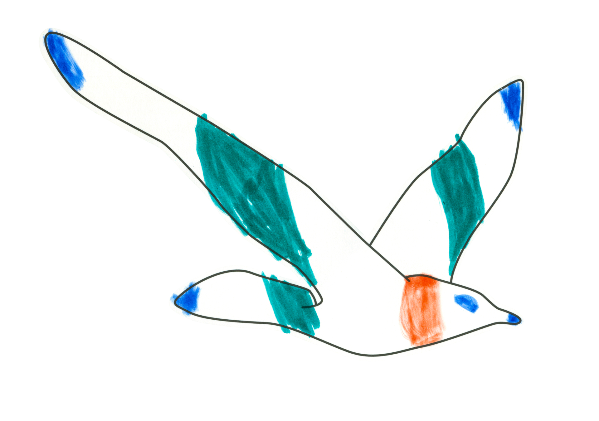 自由飛翔的天氣鳥