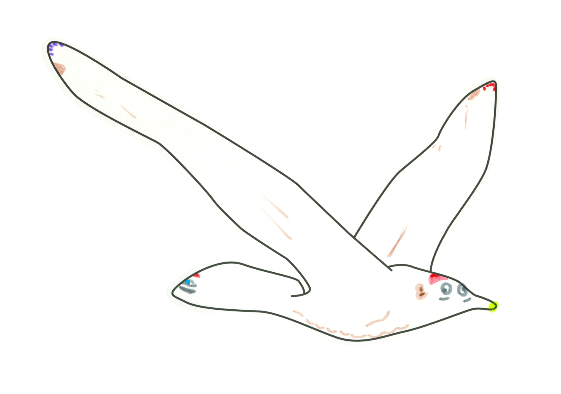 自由飛翔的天氣鳥