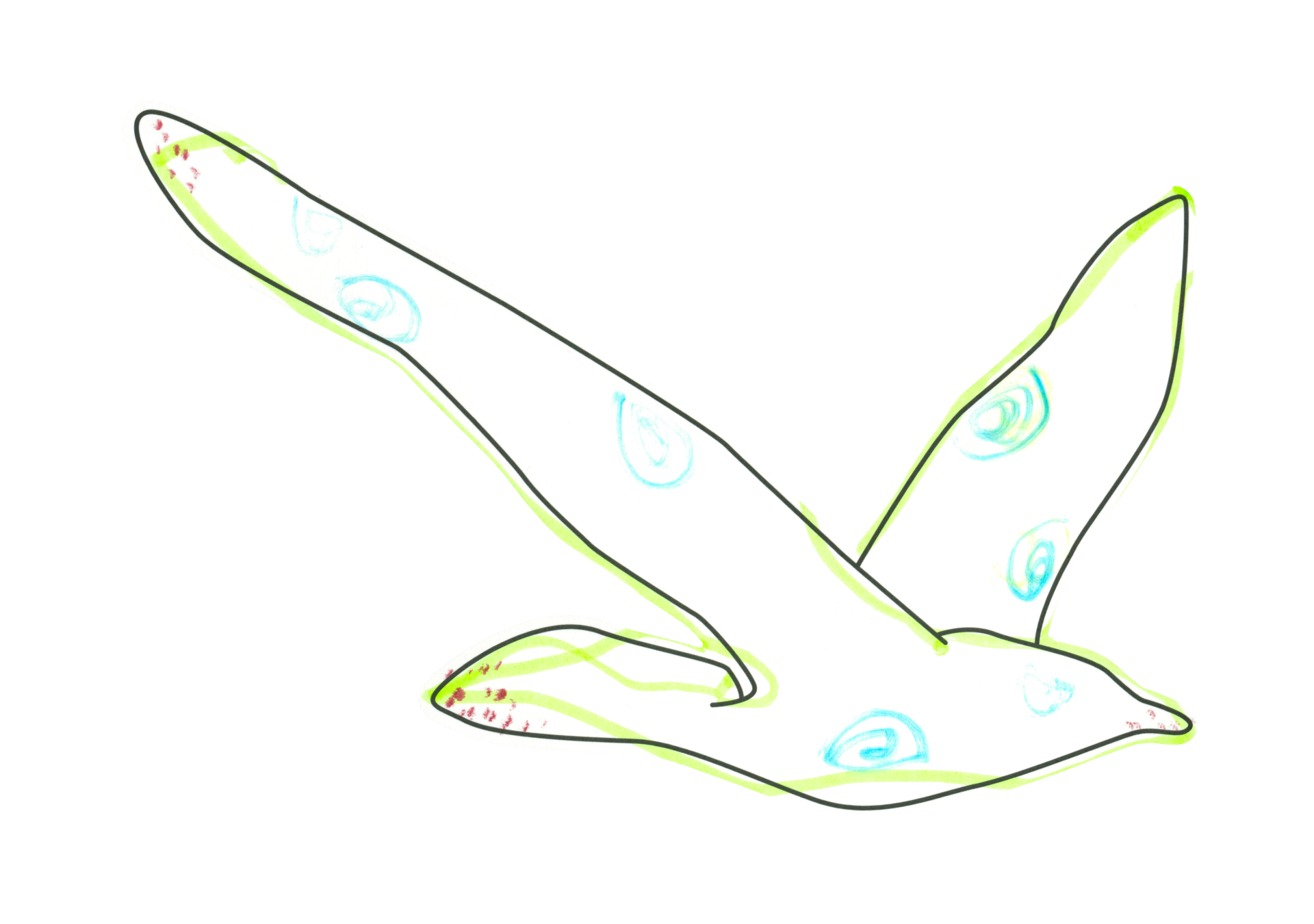 自由飛翔的天氣鳥