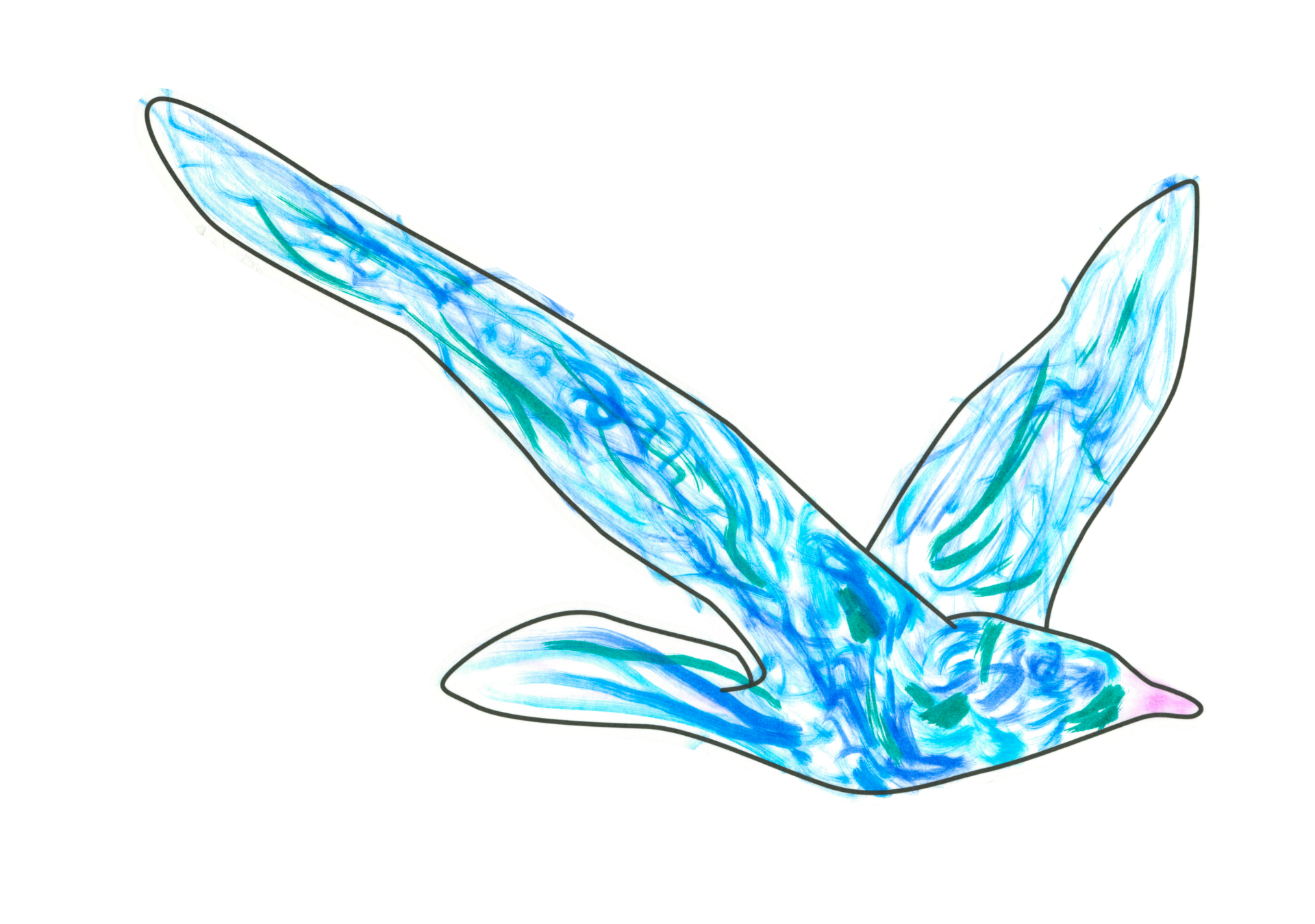 自由飛翔的天氣鳥