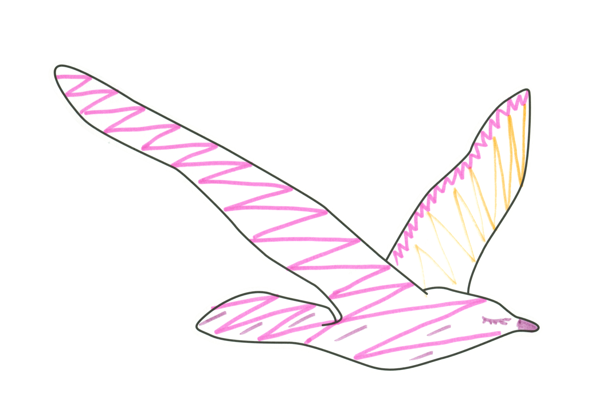 自由飛翔的天氣鳥