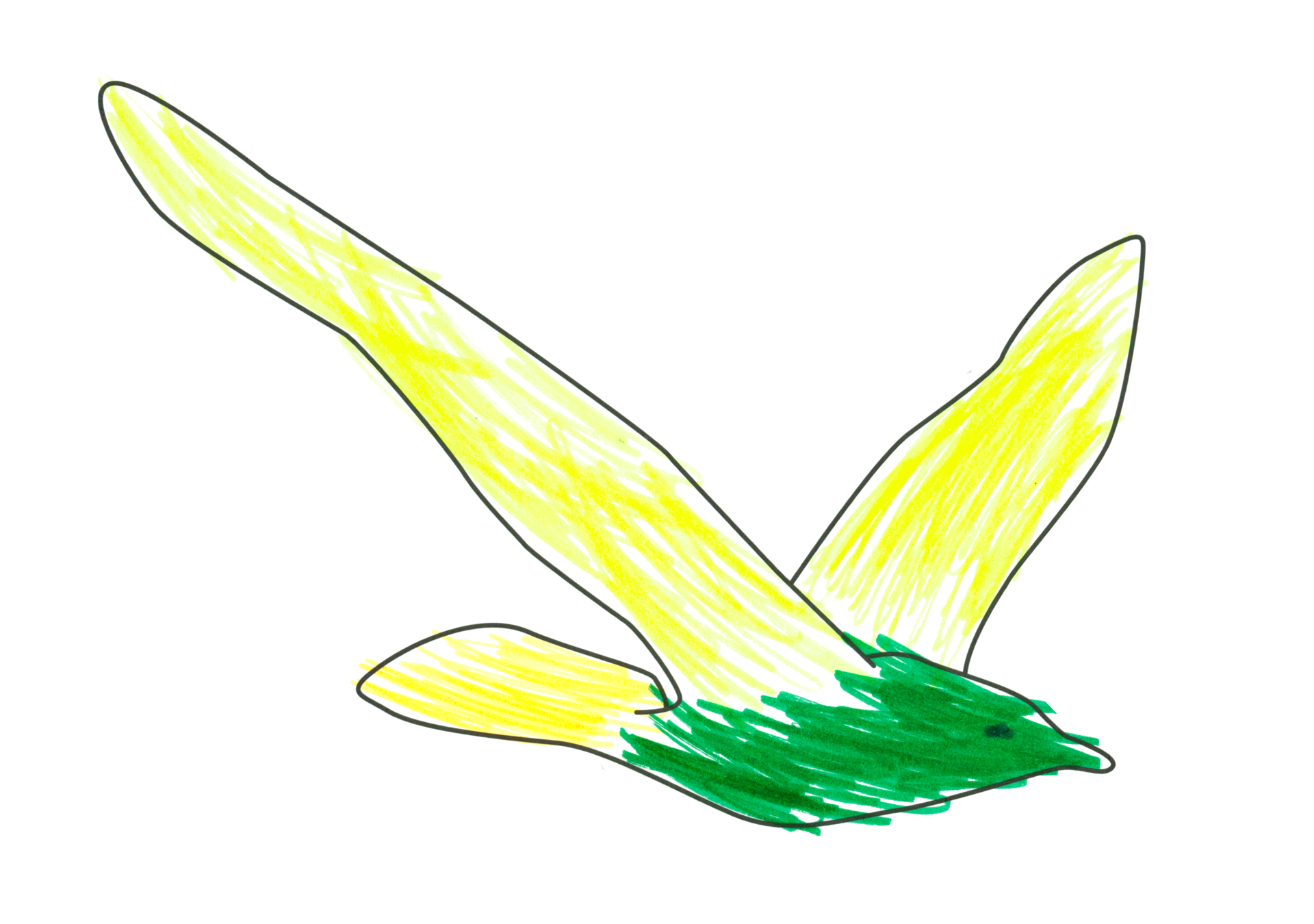 自由飛翔的天氣鳥