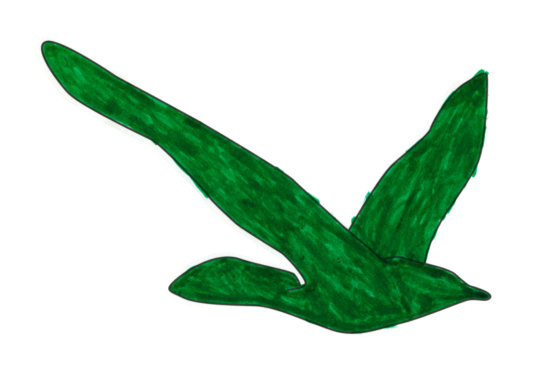 自由飛翔的天氣鳥