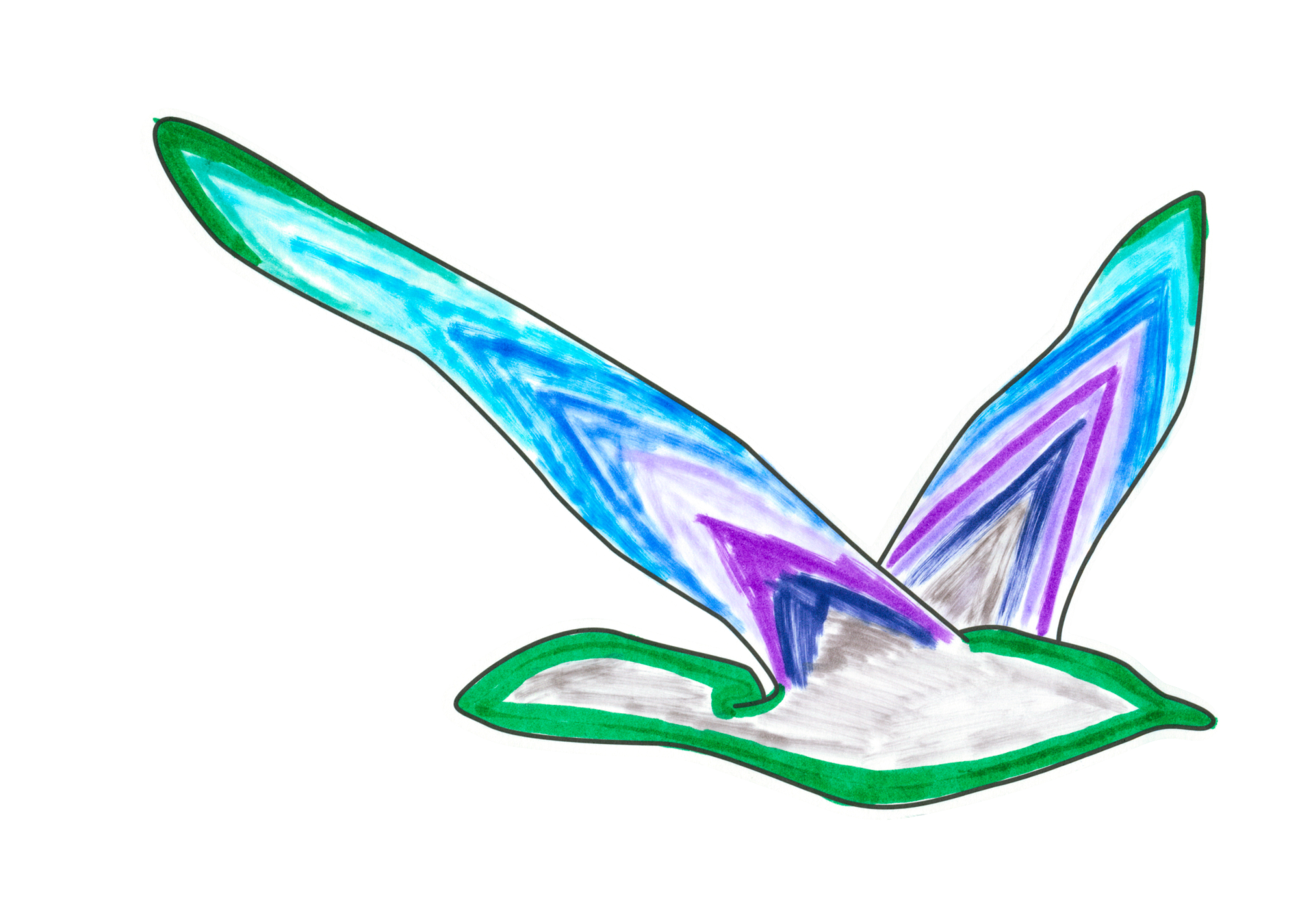 自由飛翔的天氣鳥
