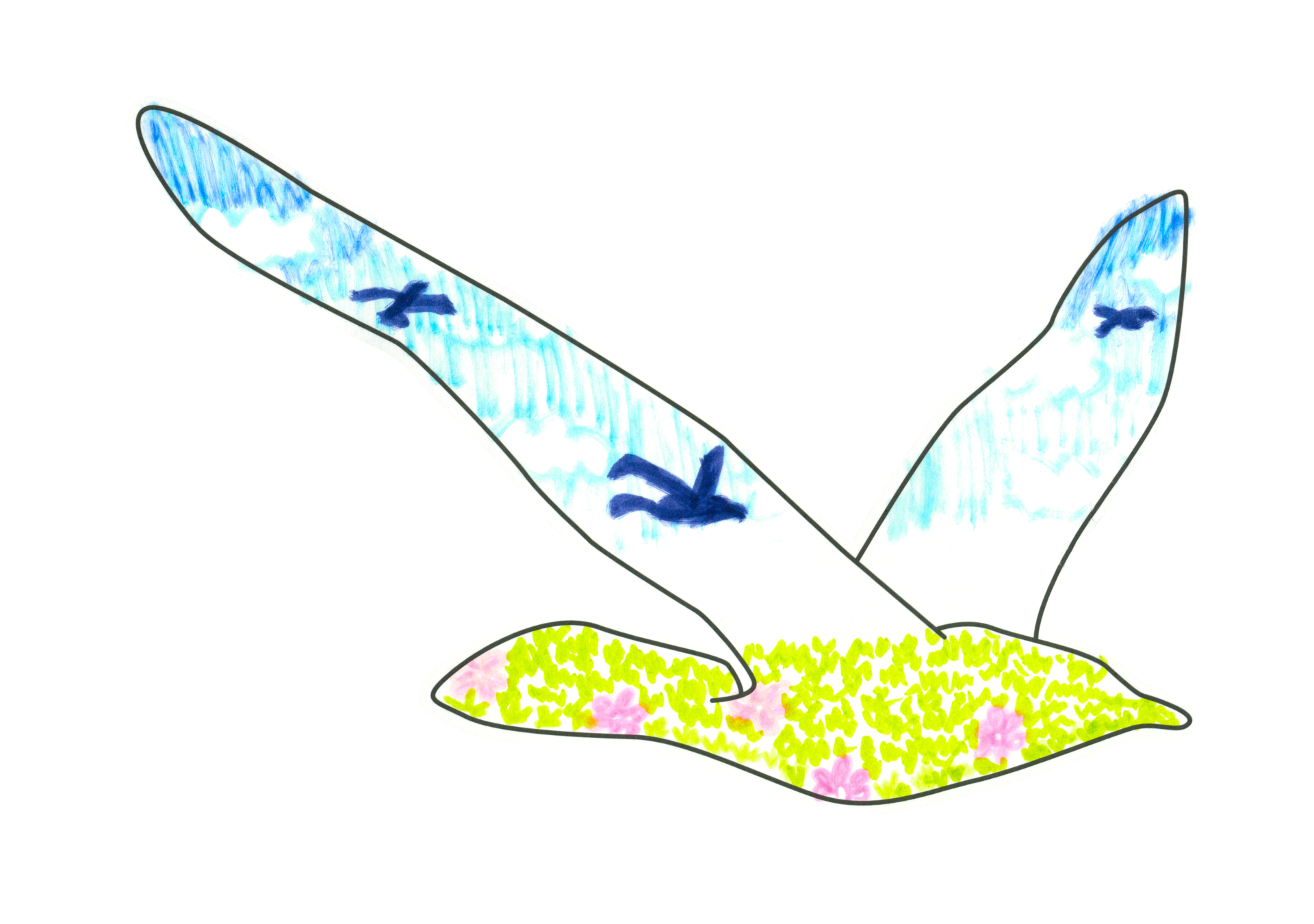自由飛翔的天氣鳥