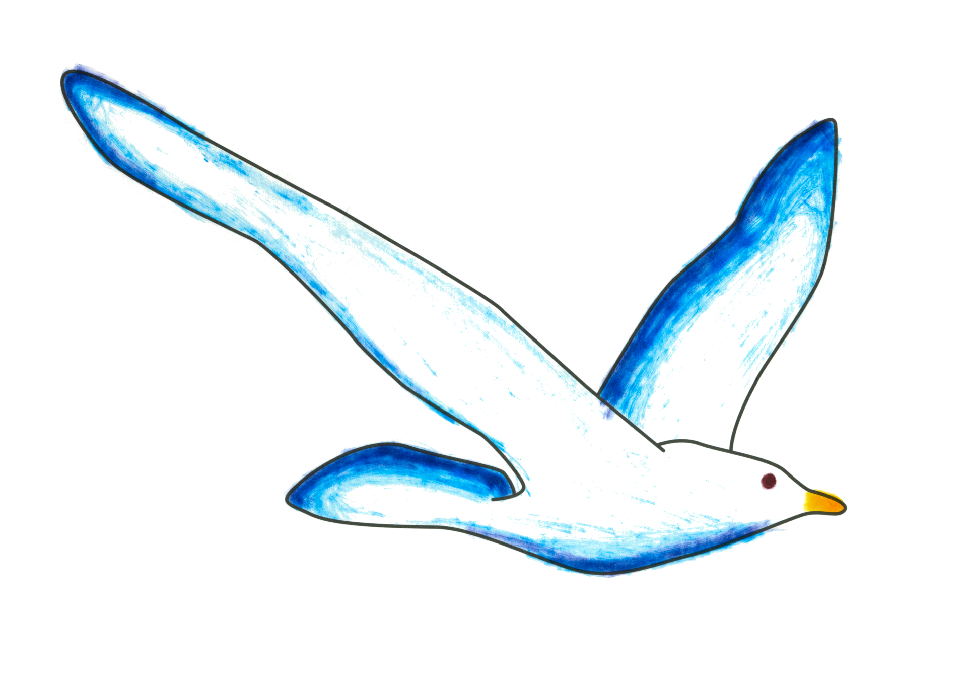自由飛翔的天氣鳥