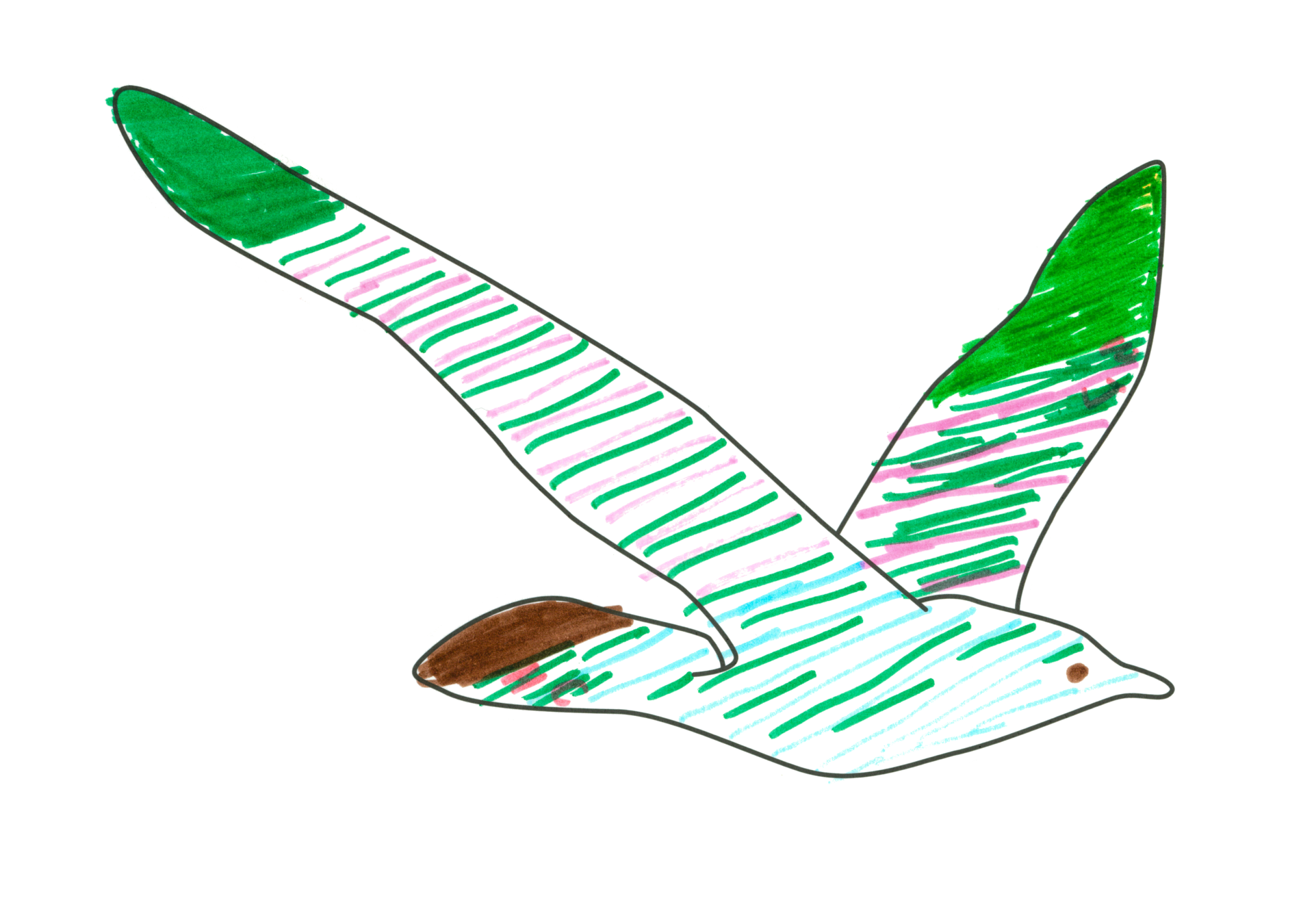 自由飛翔的天氣鳥