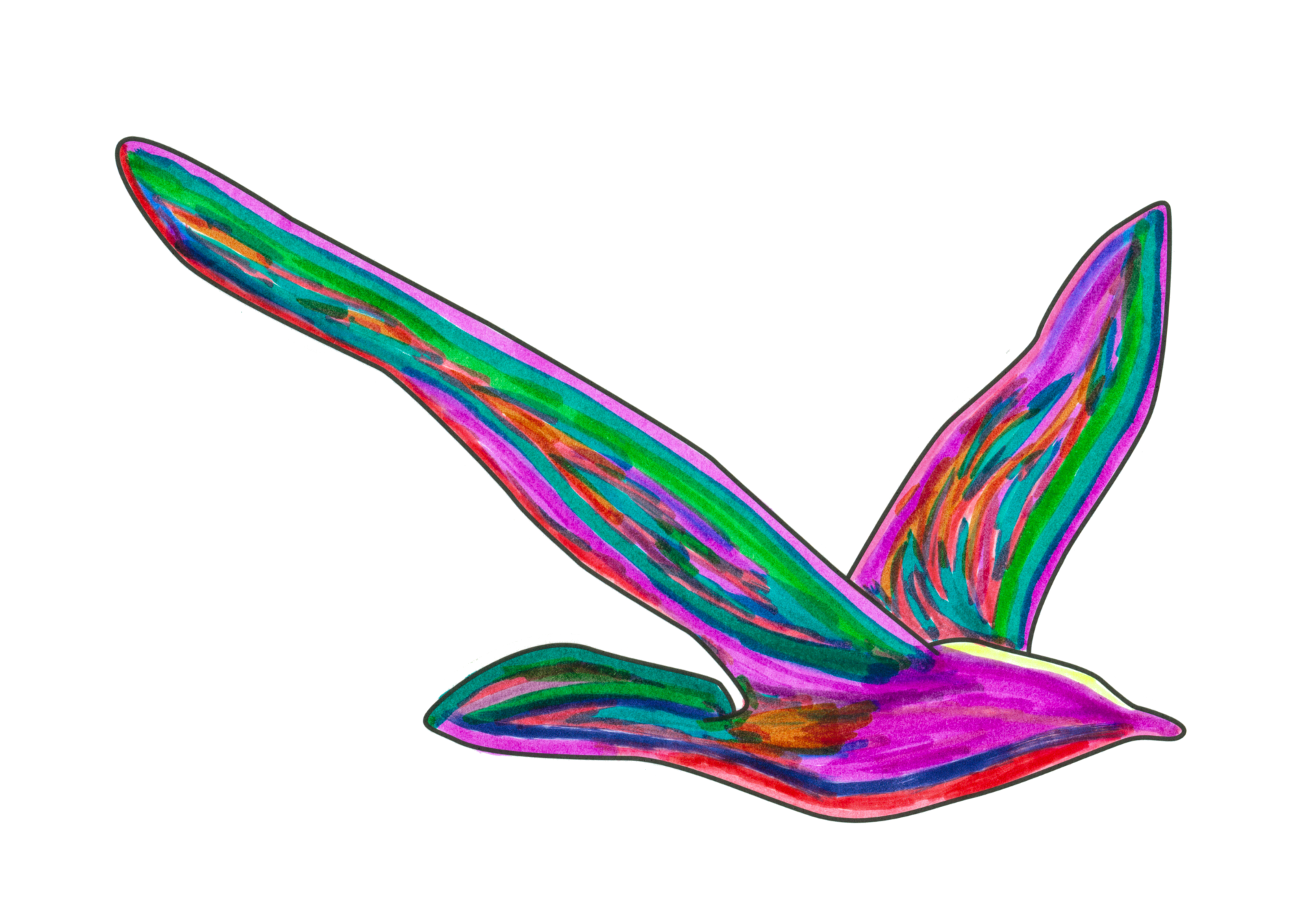 自由飛翔的天氣鳥